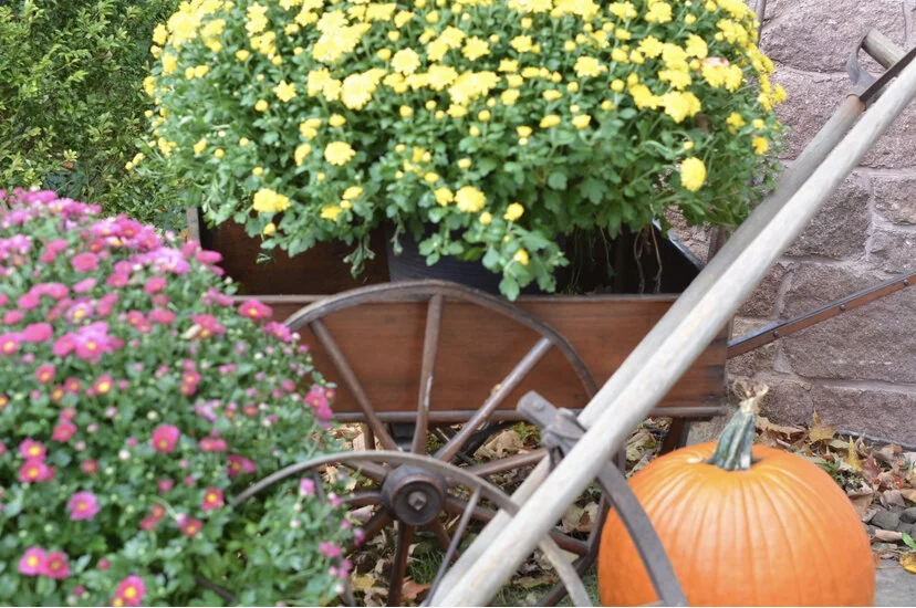 Every Day An Opportunity to Renew Your Mind