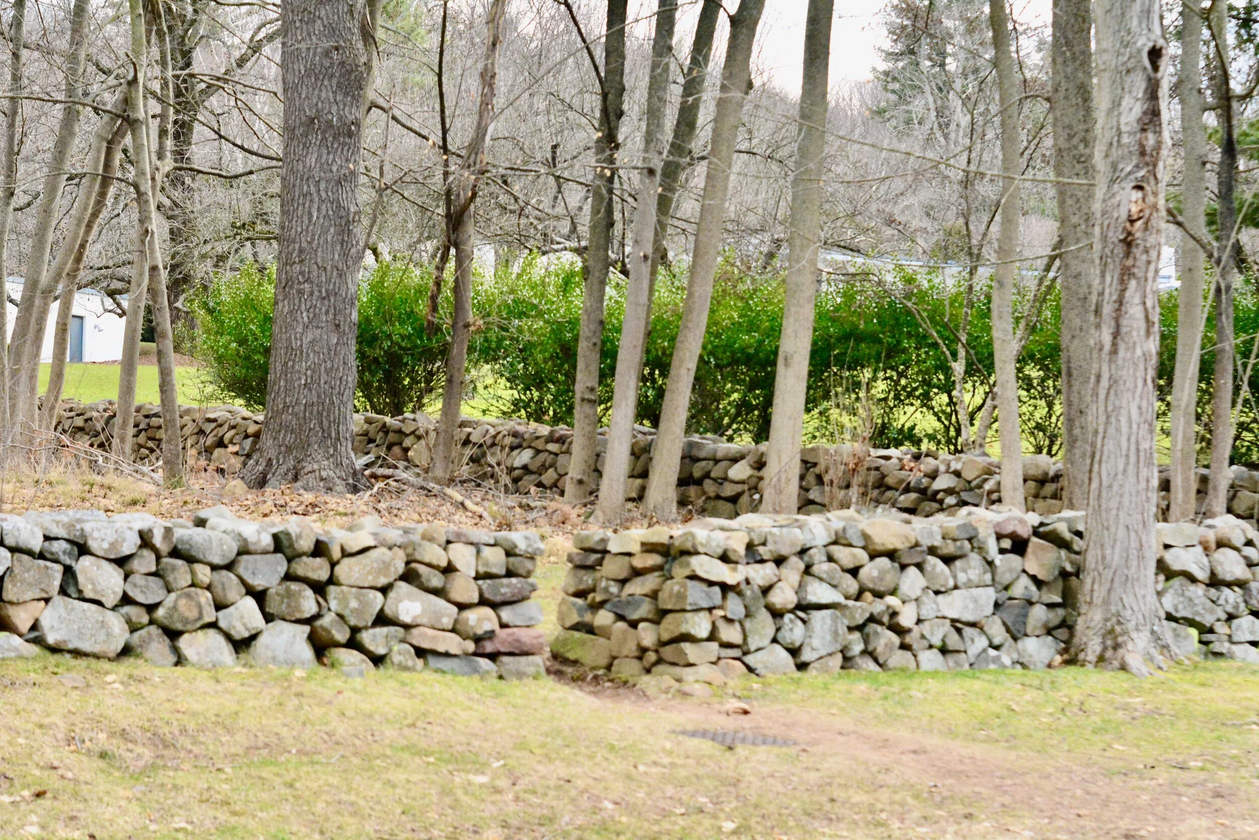 January 26th: The Feast of Saints Timothy and Titus