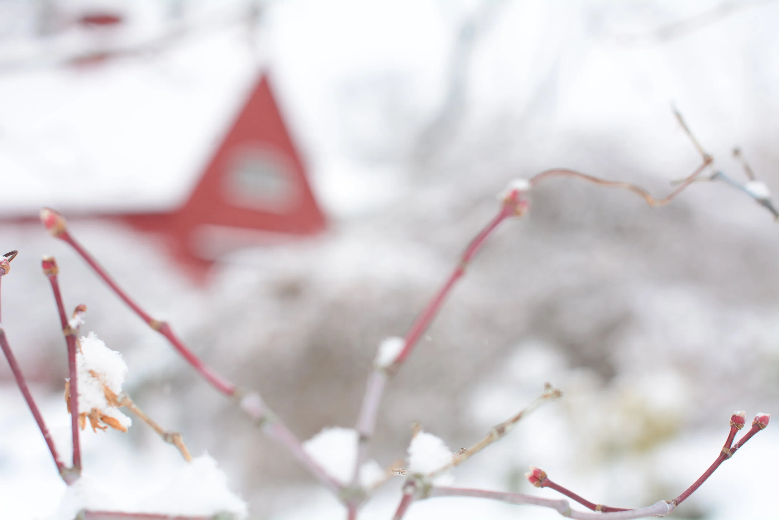 The Third Monday in Lent 