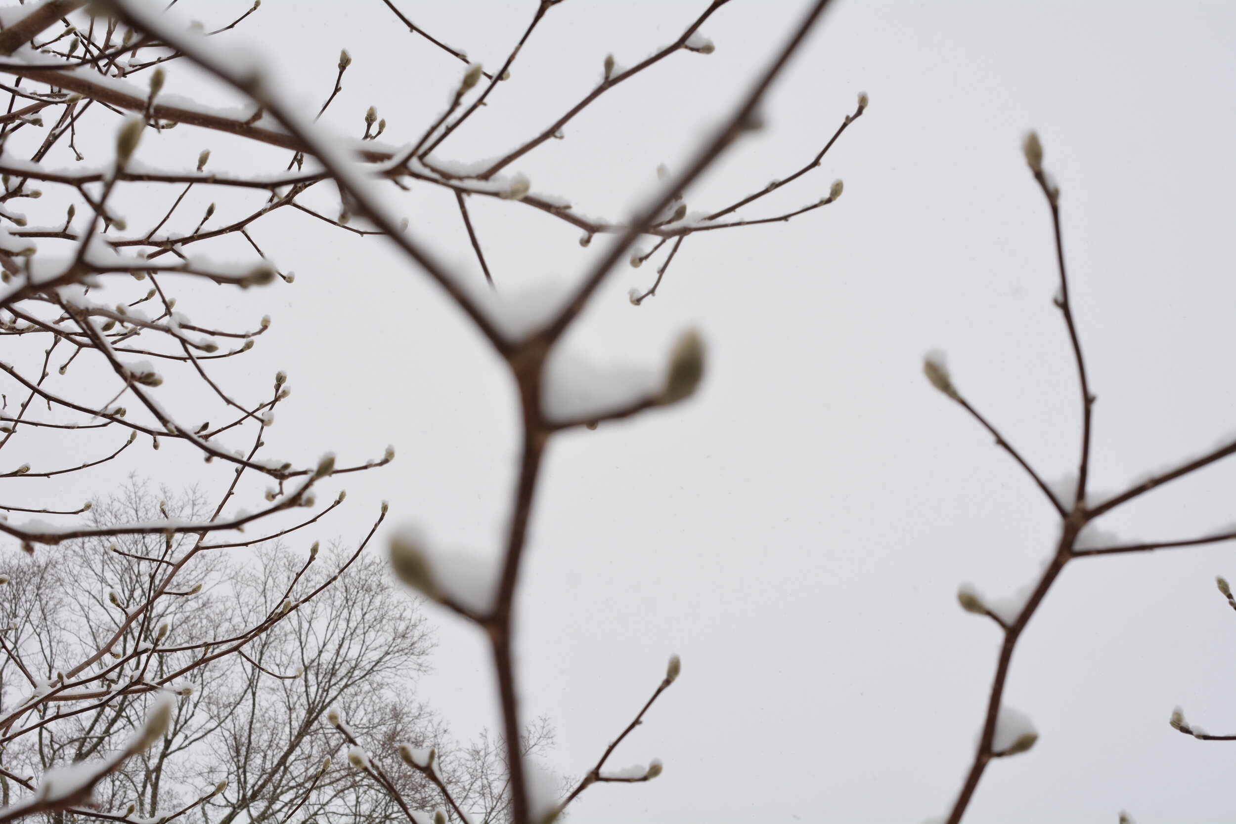 The Third Wednesday in Lent