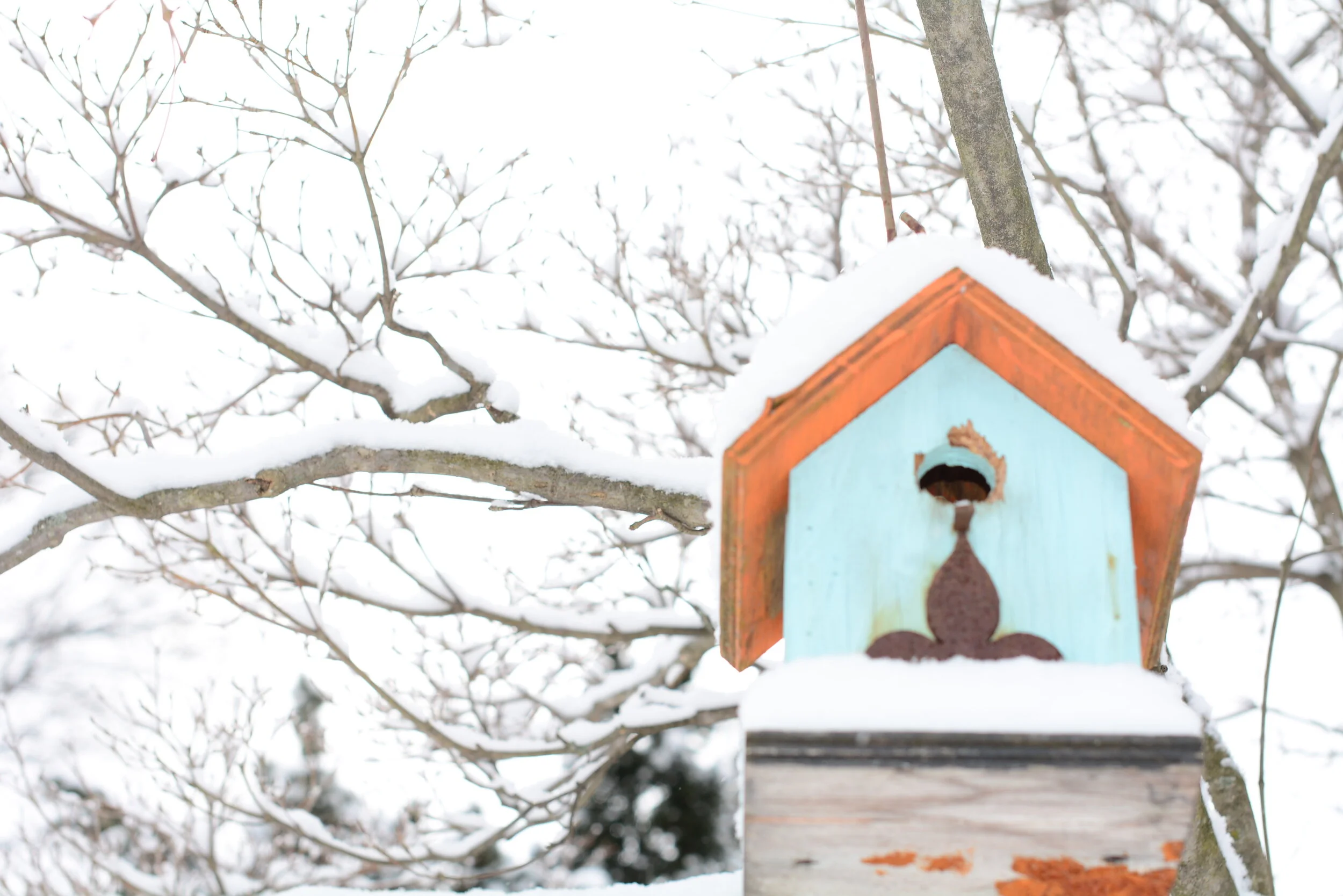 The Third Thursday in Lent 