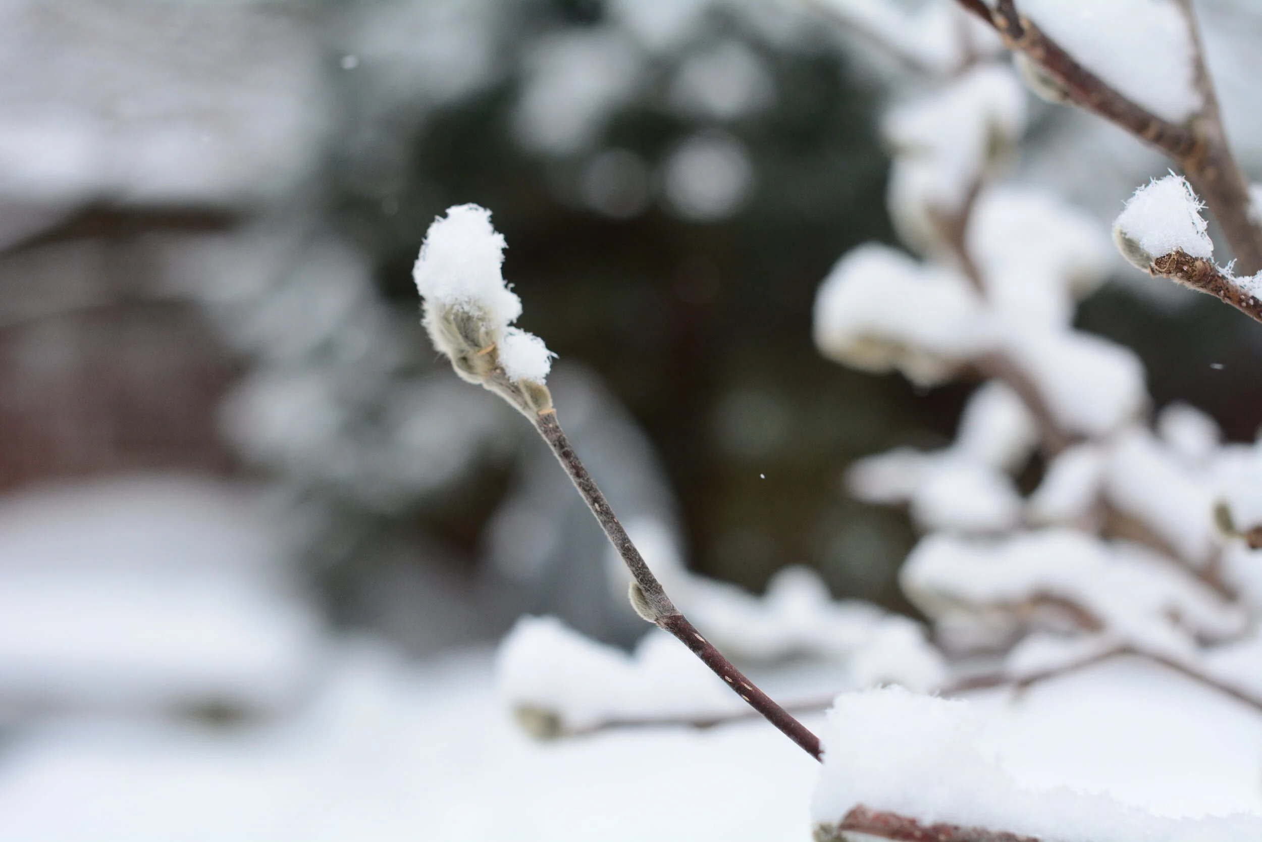 The Third Friday in Lent 