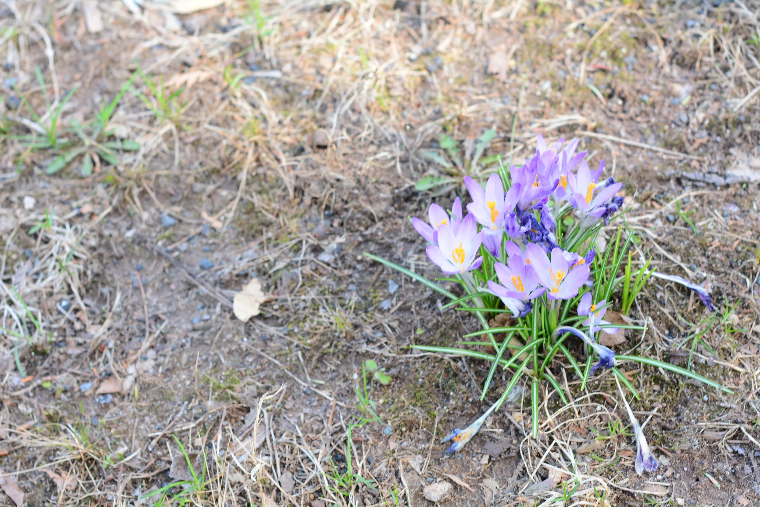 Tuesday in the Octave of Easter