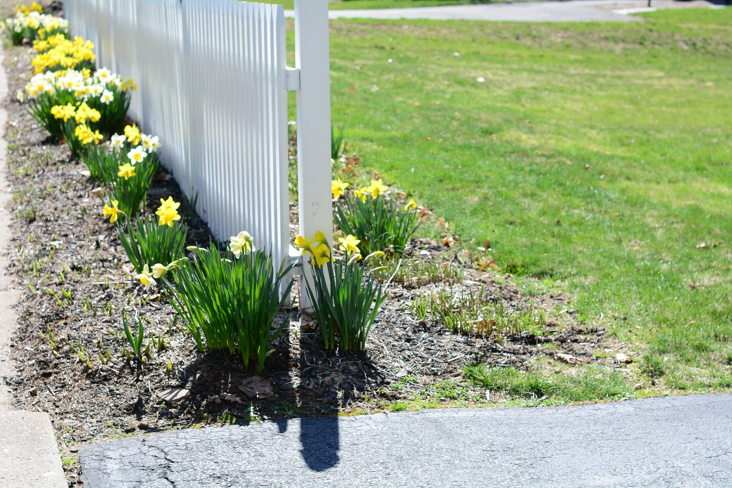 Wednesday in the Octave of Easter 