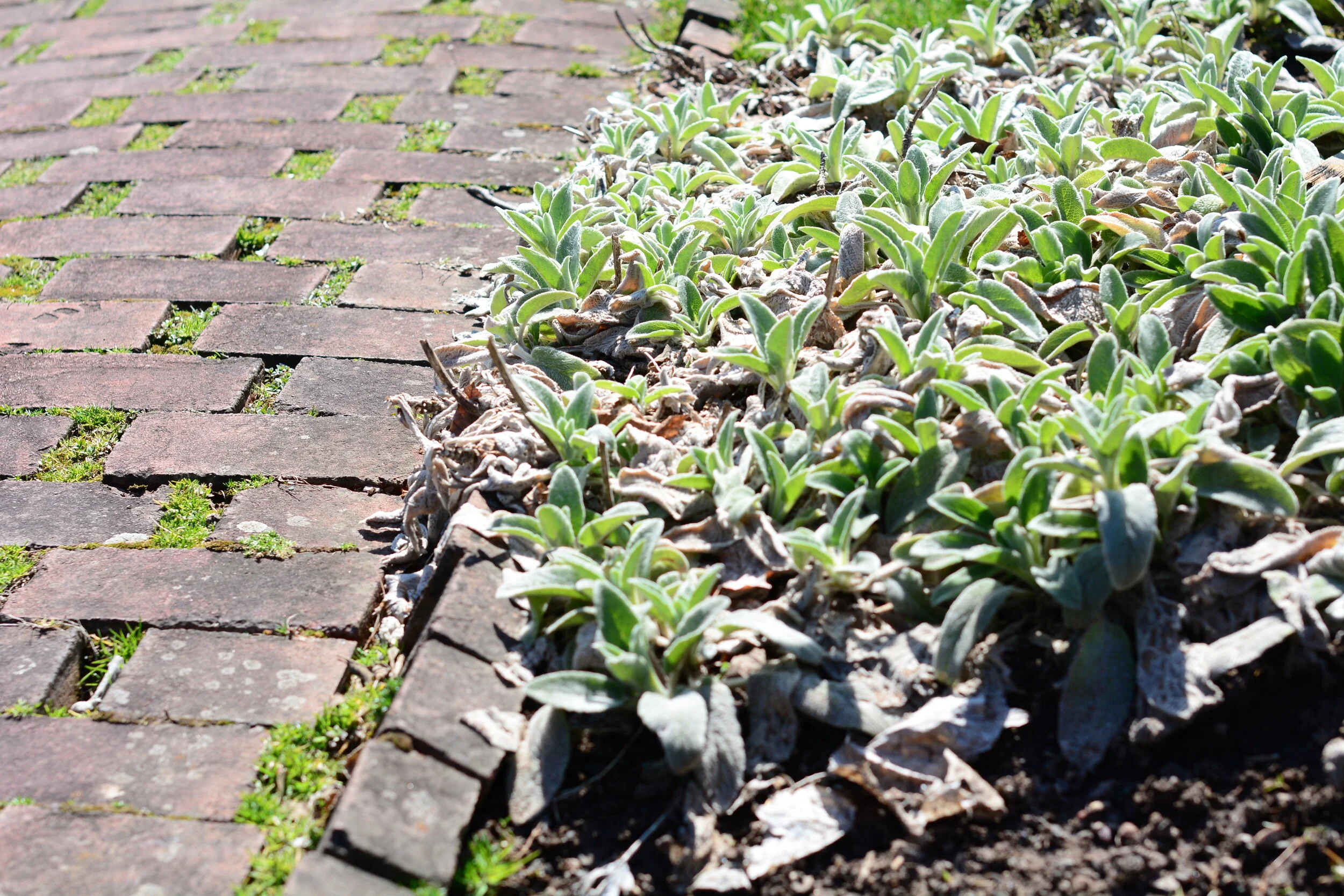 Friday in the Octave of Easter 