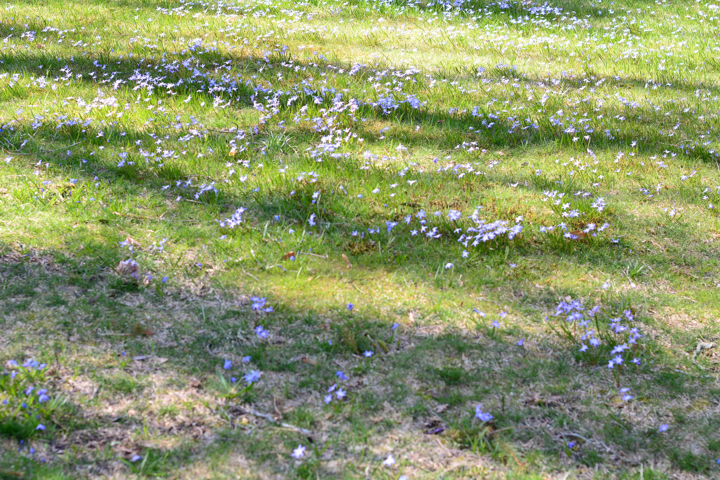 Monday of the Second Week of Easter