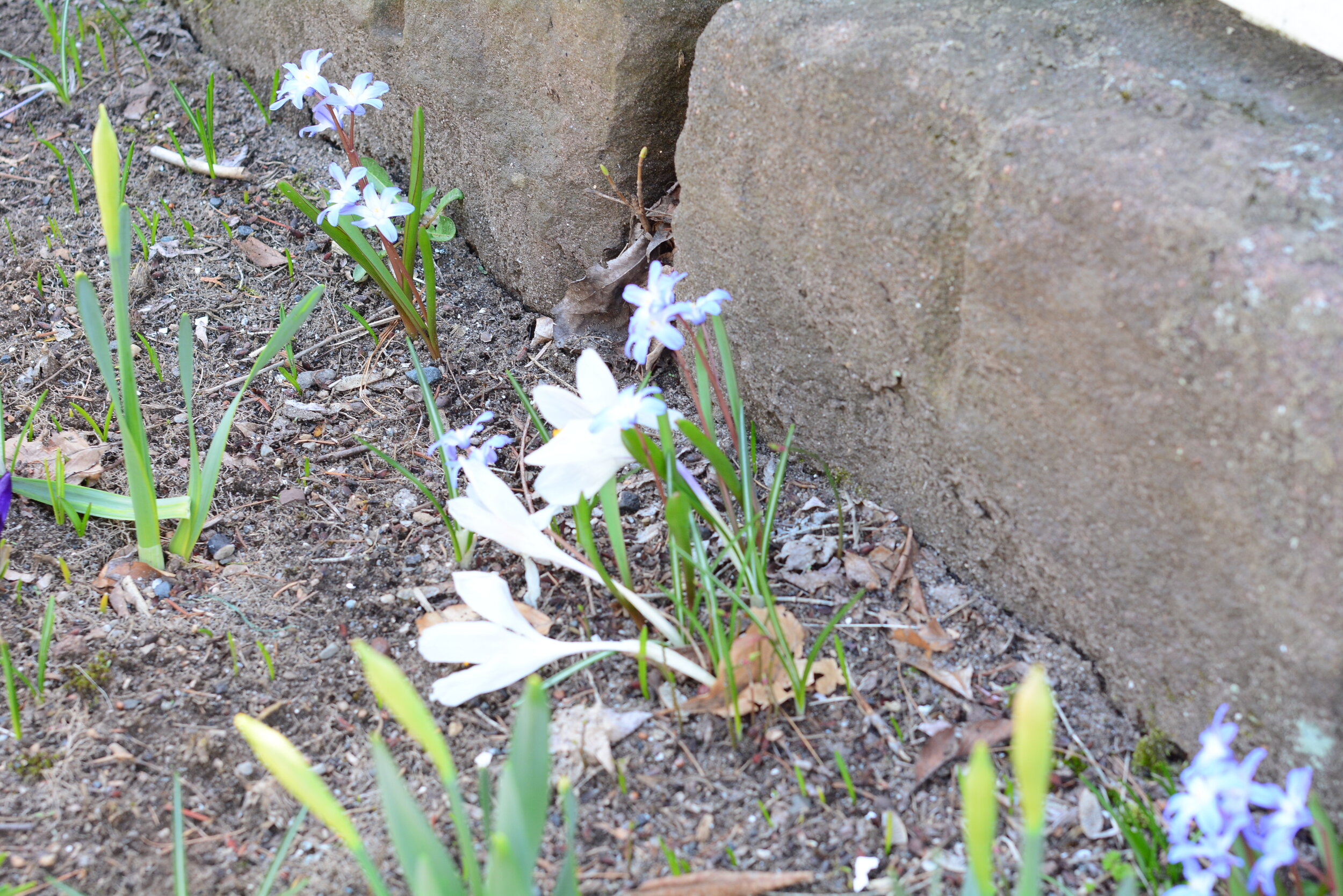 Tuesday of the Second Week of Easter