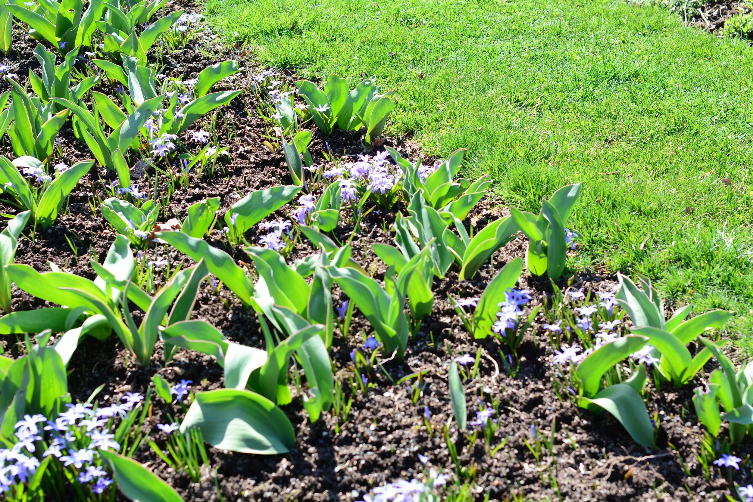 Wednesday of the Second Week of Easter