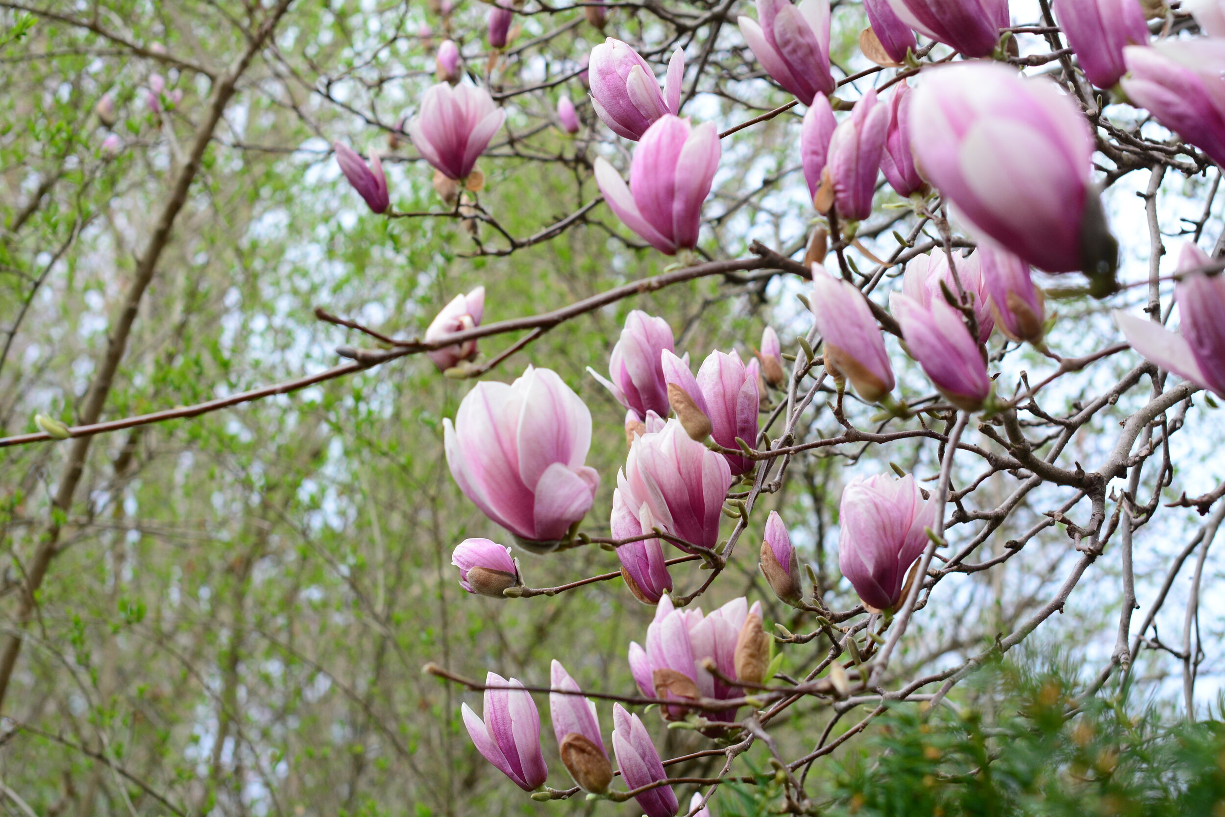 Friday of the Third Week of Easter