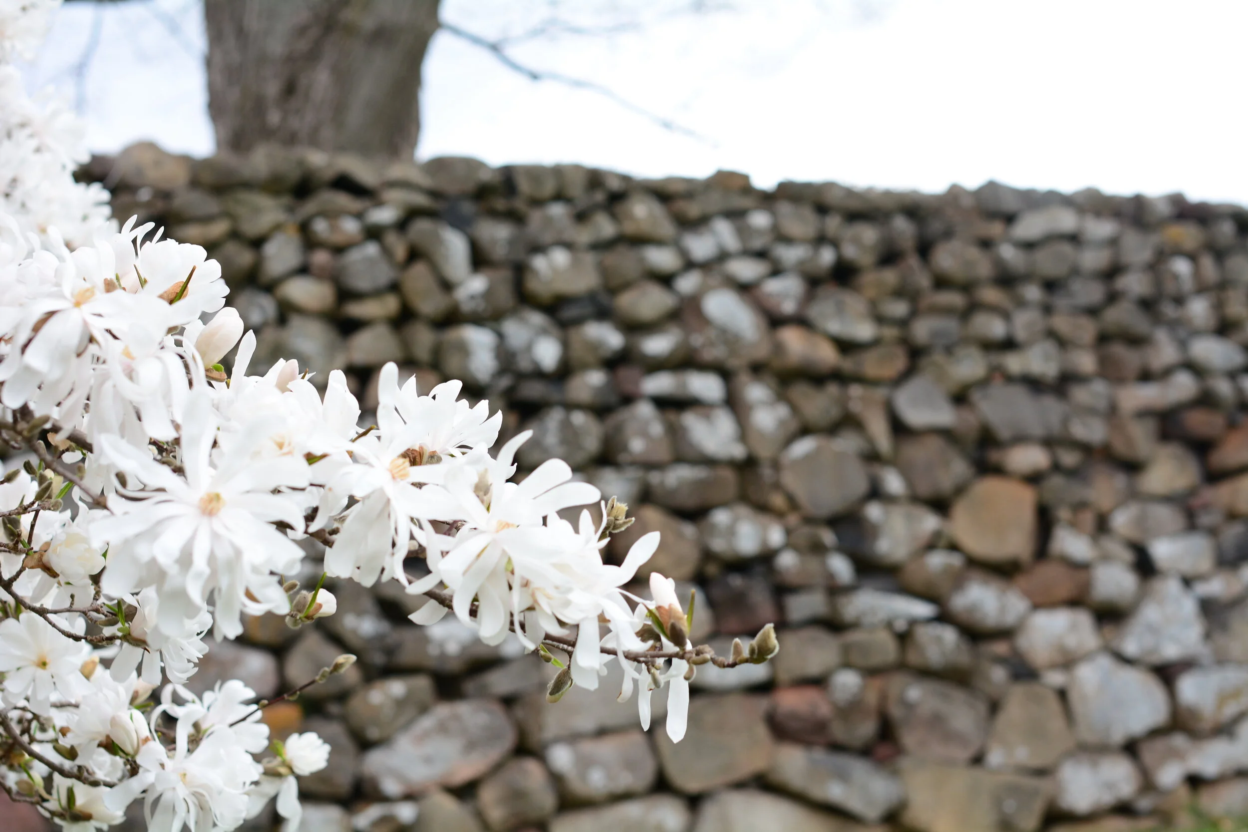 Monday of the Fourth Week of Easter