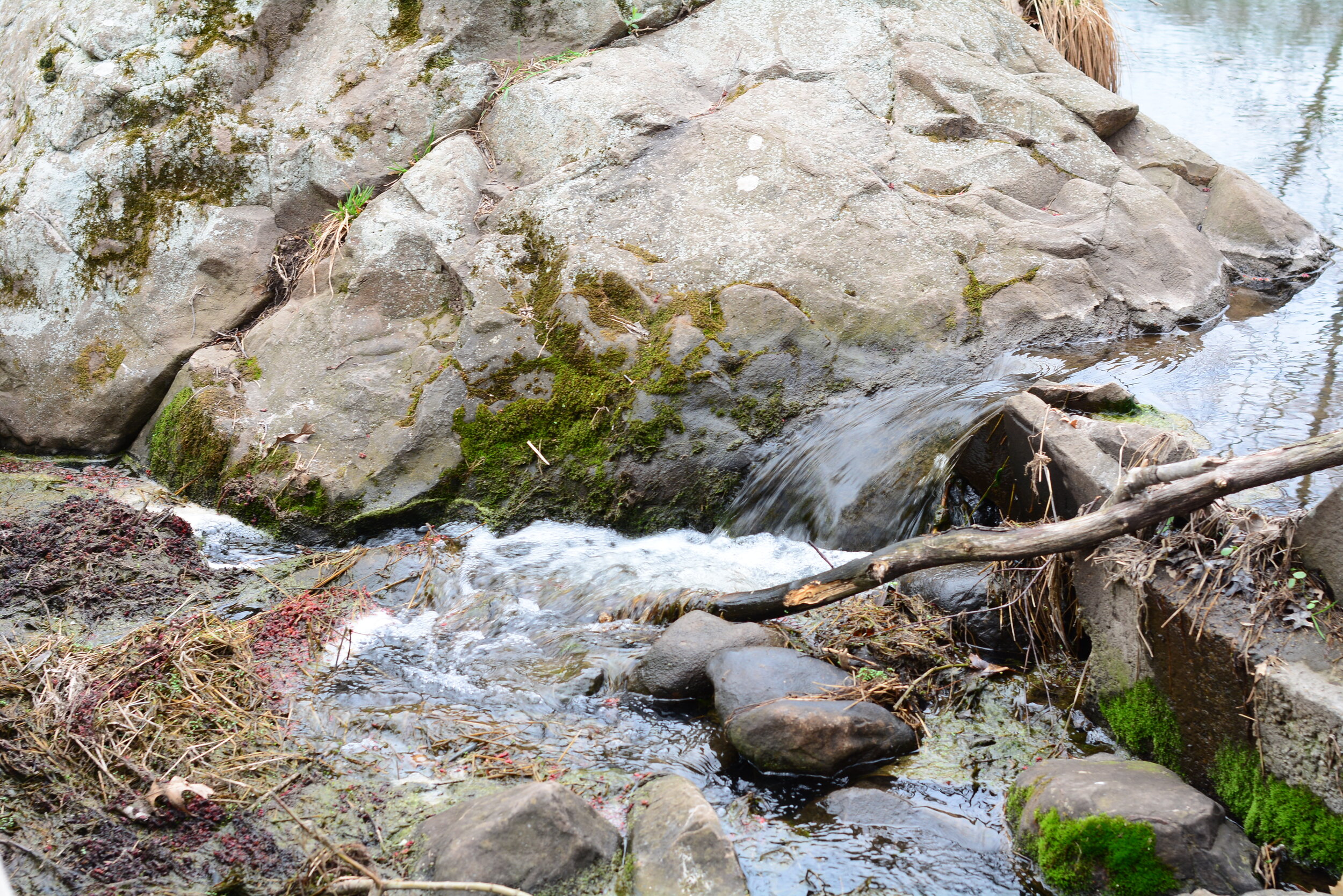 Friday of the Fourth Week of Easter