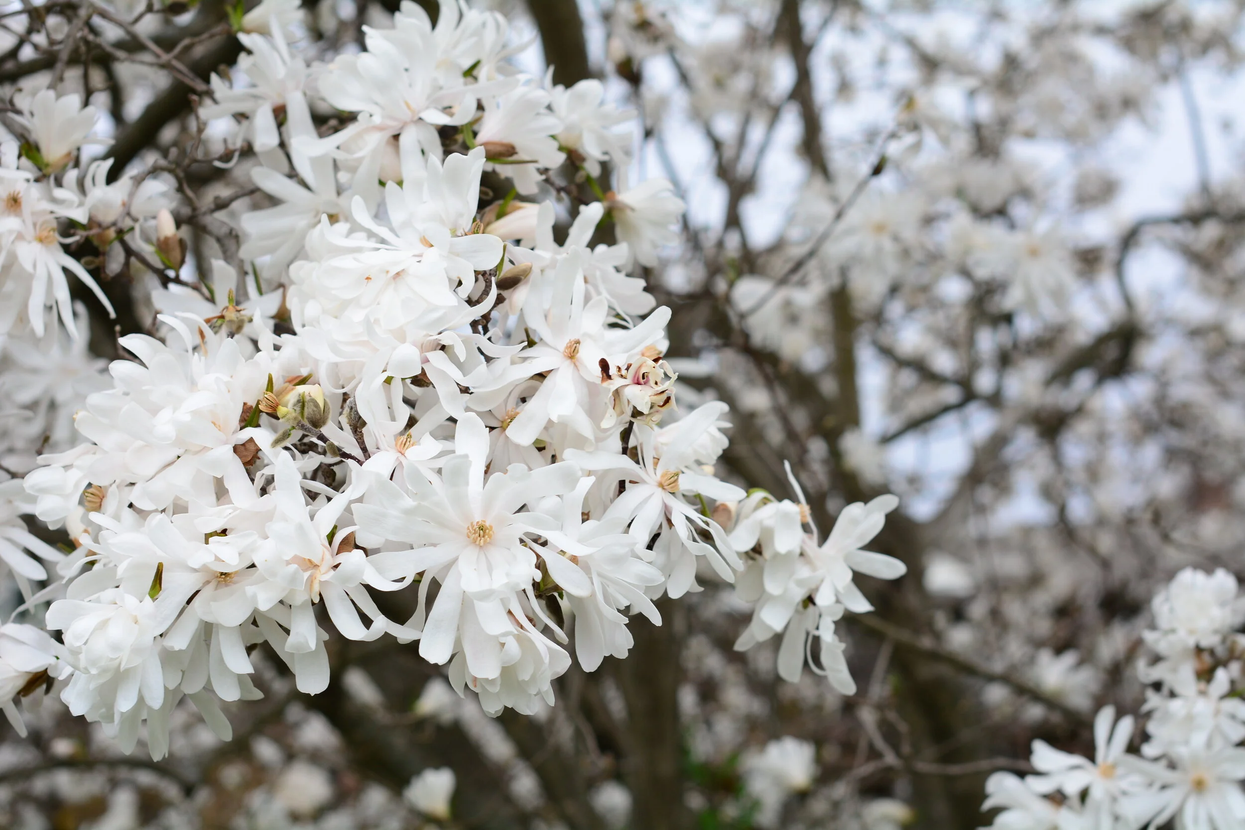 Tuesday of Fifth Week of Easter