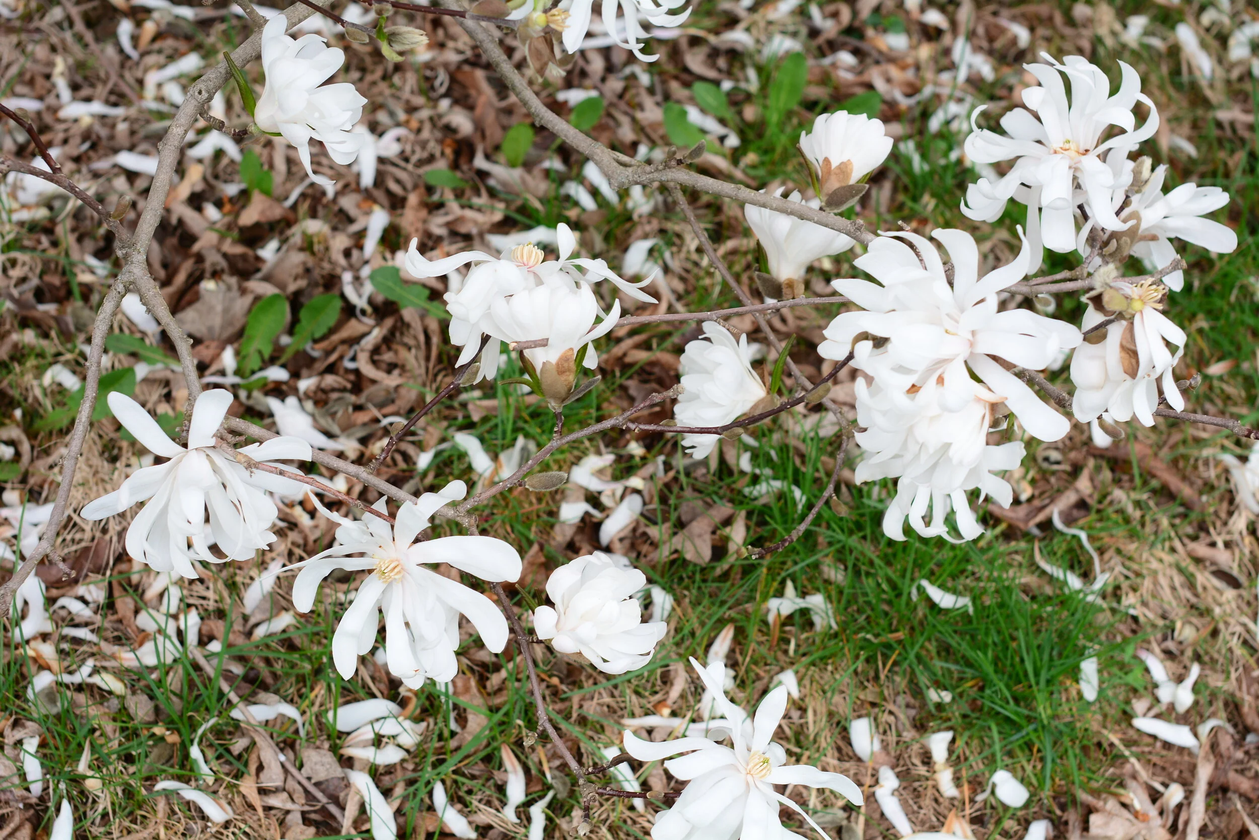 Thursday of the Fifth Week of Easter