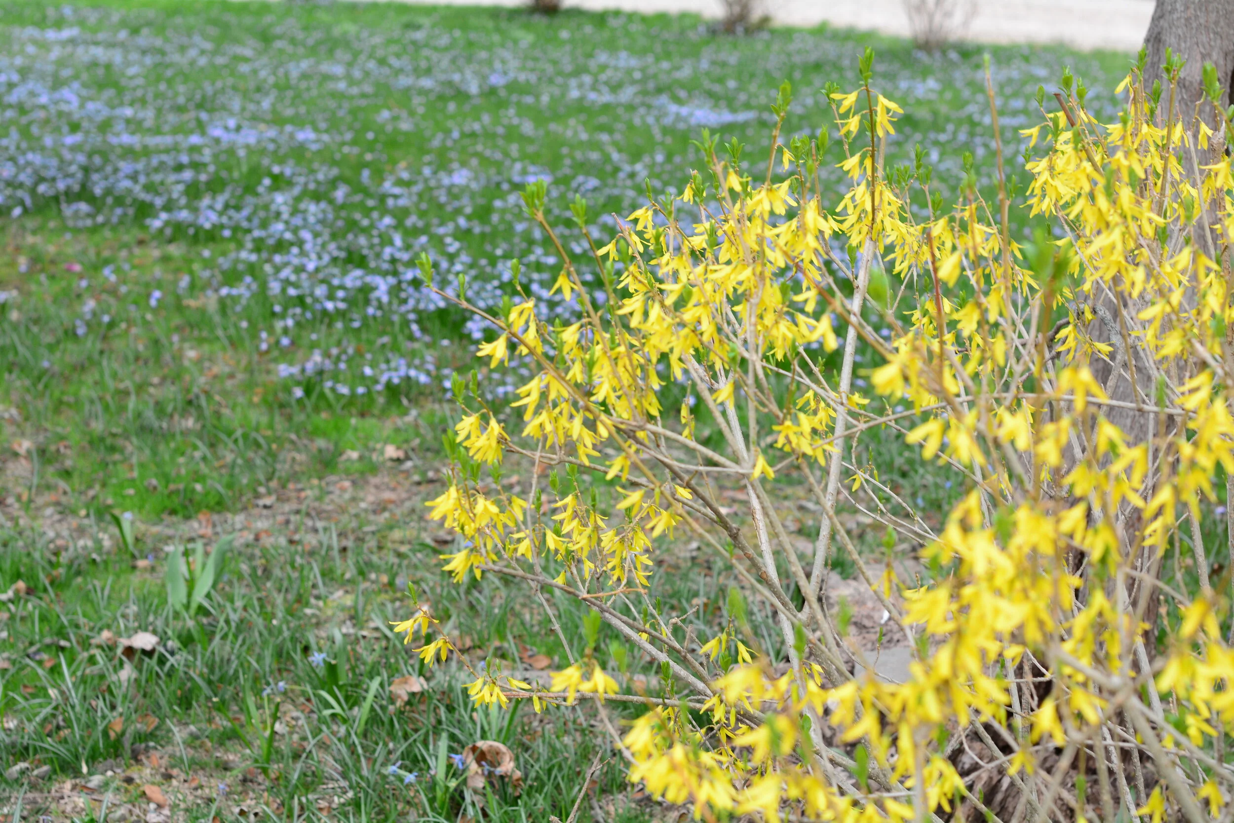 Friday of the Fifth Week of Easter