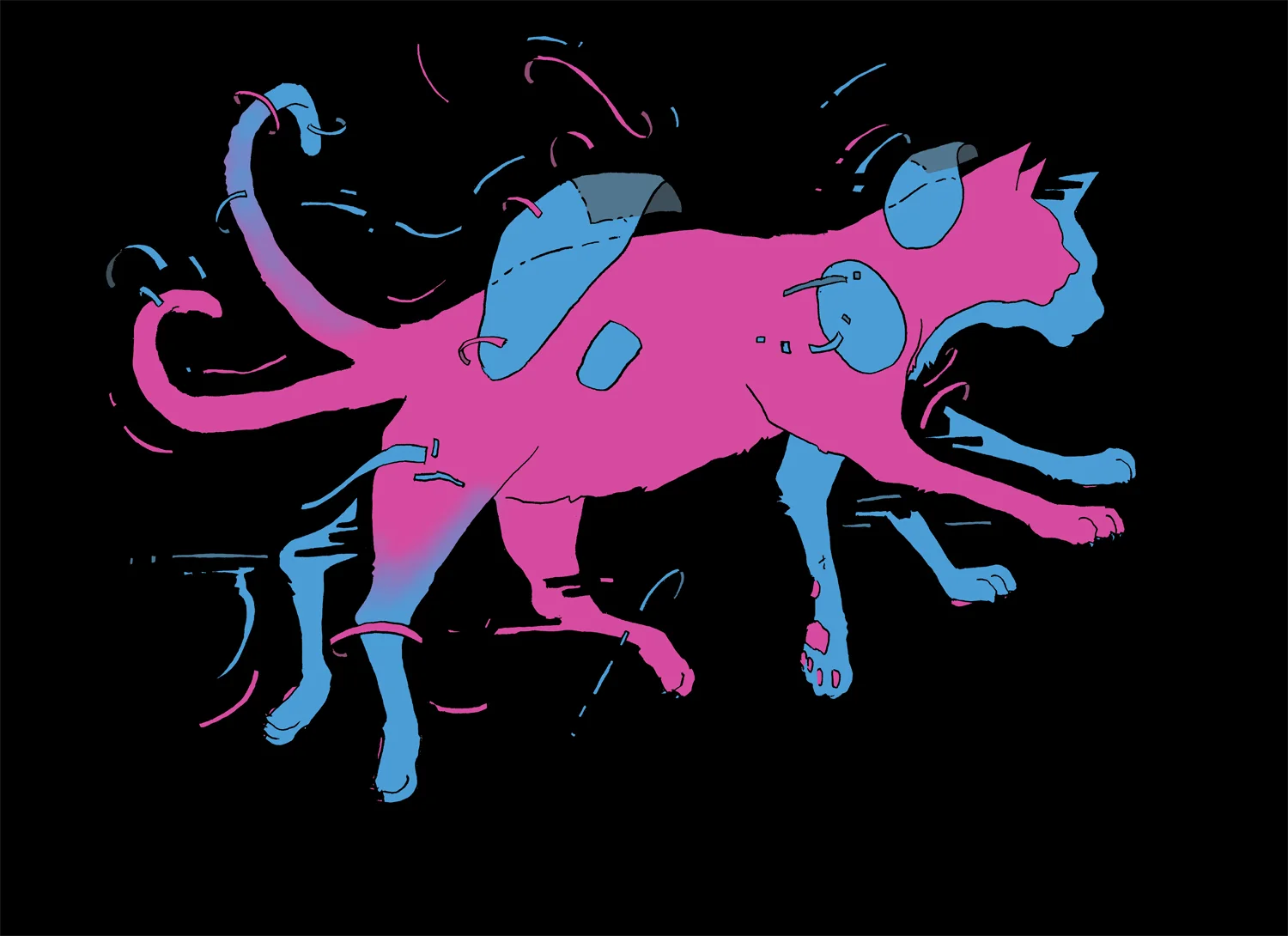 Inter-Dimensional Cat