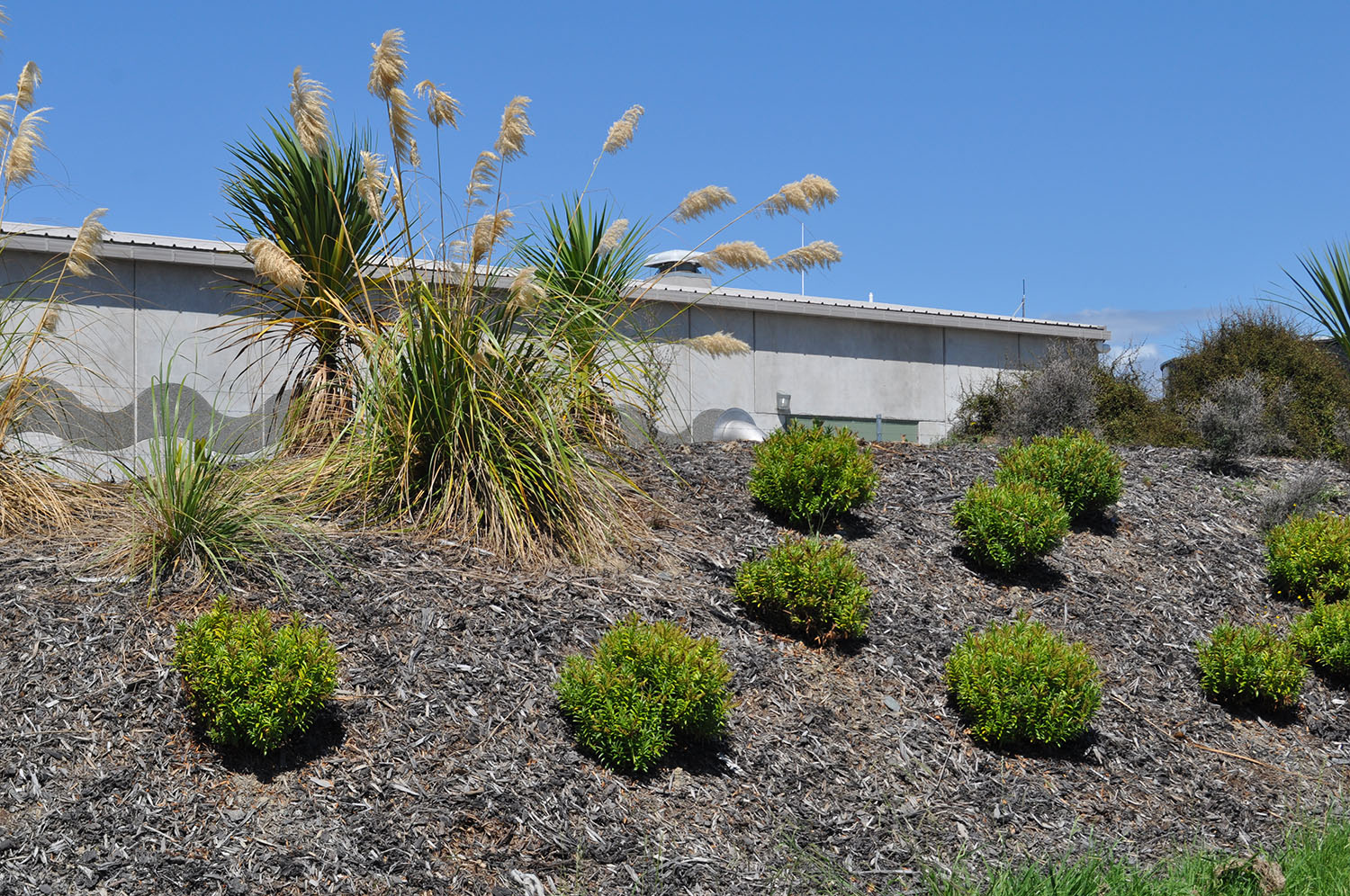 RICHMOND WATER TREATMENT (4)_1500.jpg