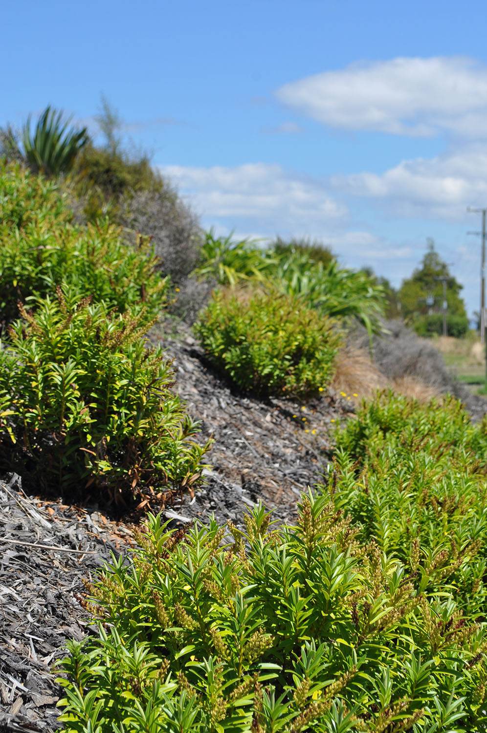 RICHMOND WATER TREATMENT (64)_1500.jpg