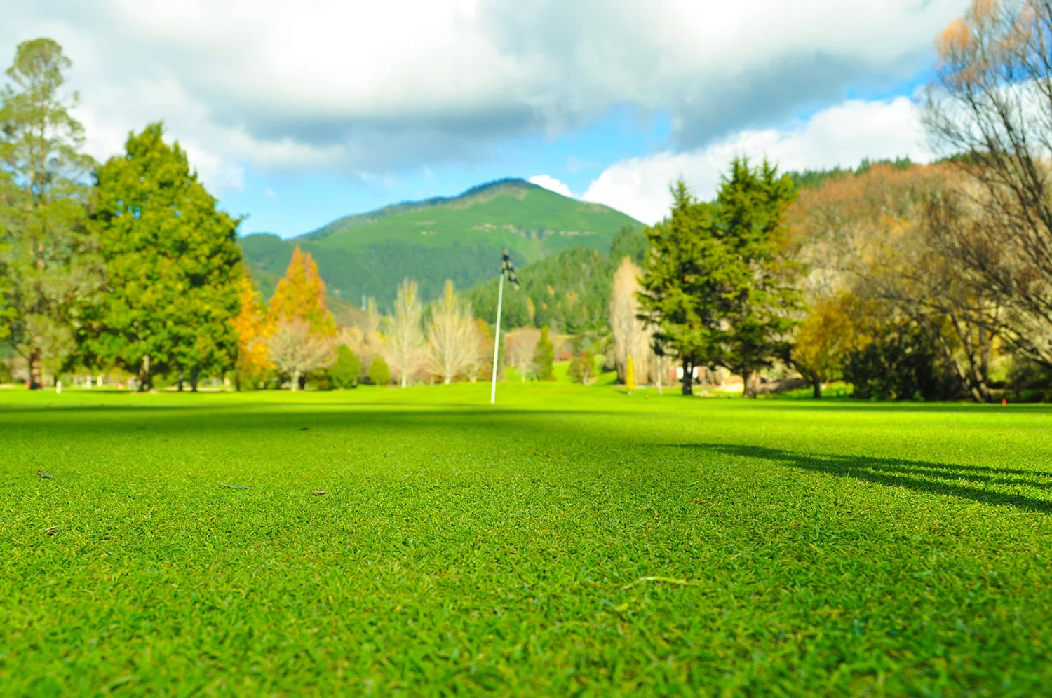 Commercial & Large Scale Mowing