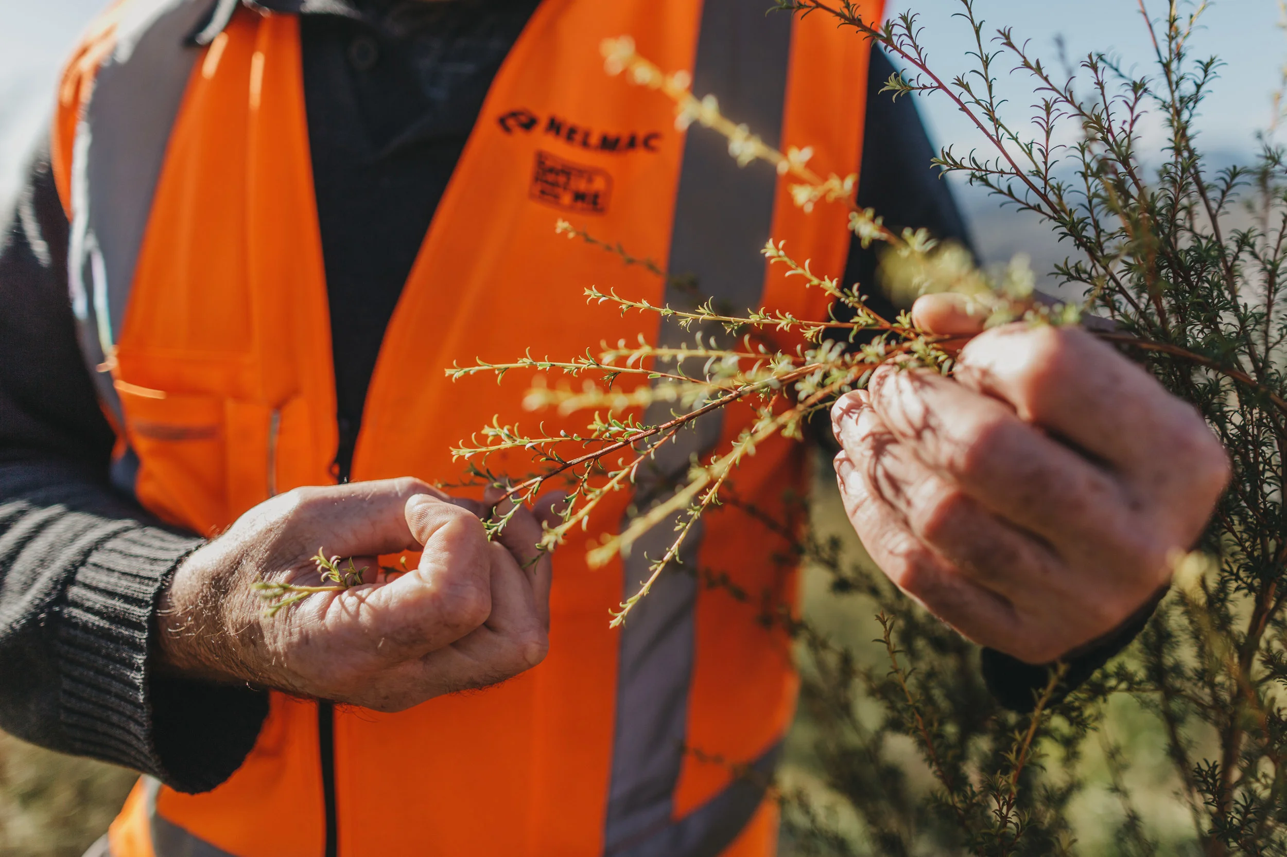 Environmental Consultancy