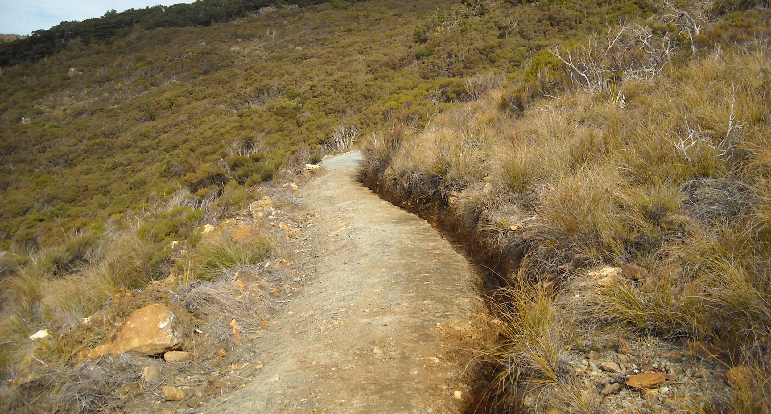 Dun mountain progress photos 017_1.jpg