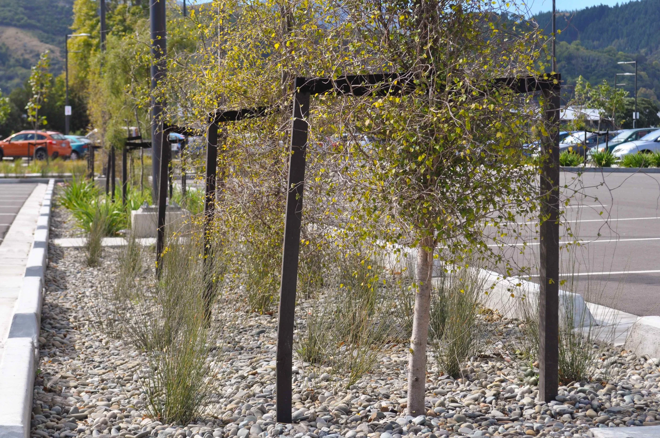 Trafalgar Centre Redevelopment