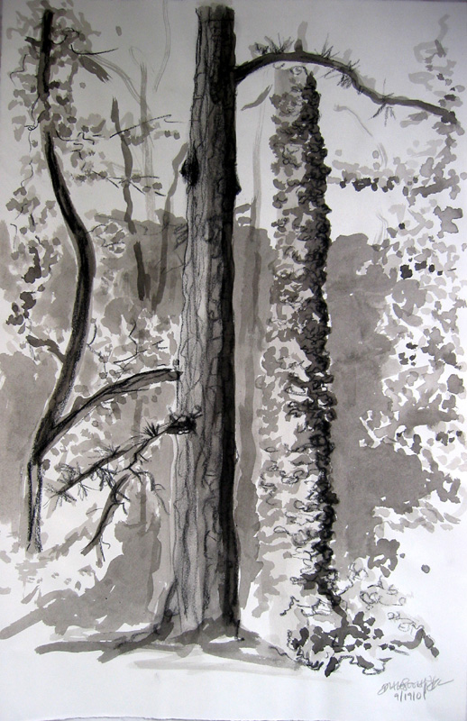 foliage study #3 (2001)