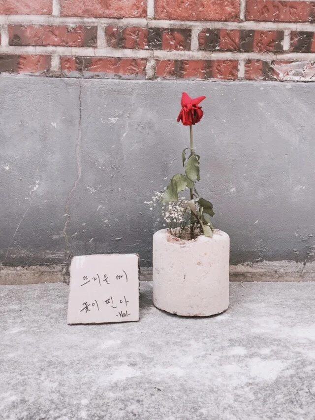 KakaoTalk_Photo_2017-05-02-22-14-16_42.jpeg