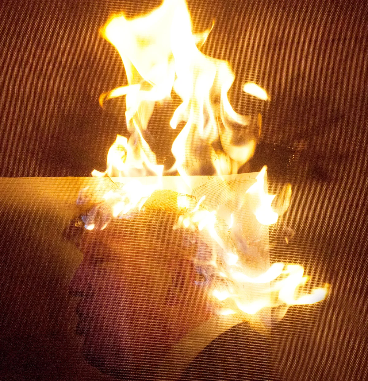 flaming8329.jpg