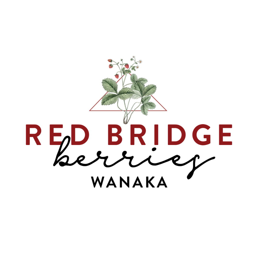 Untitled design (53).png