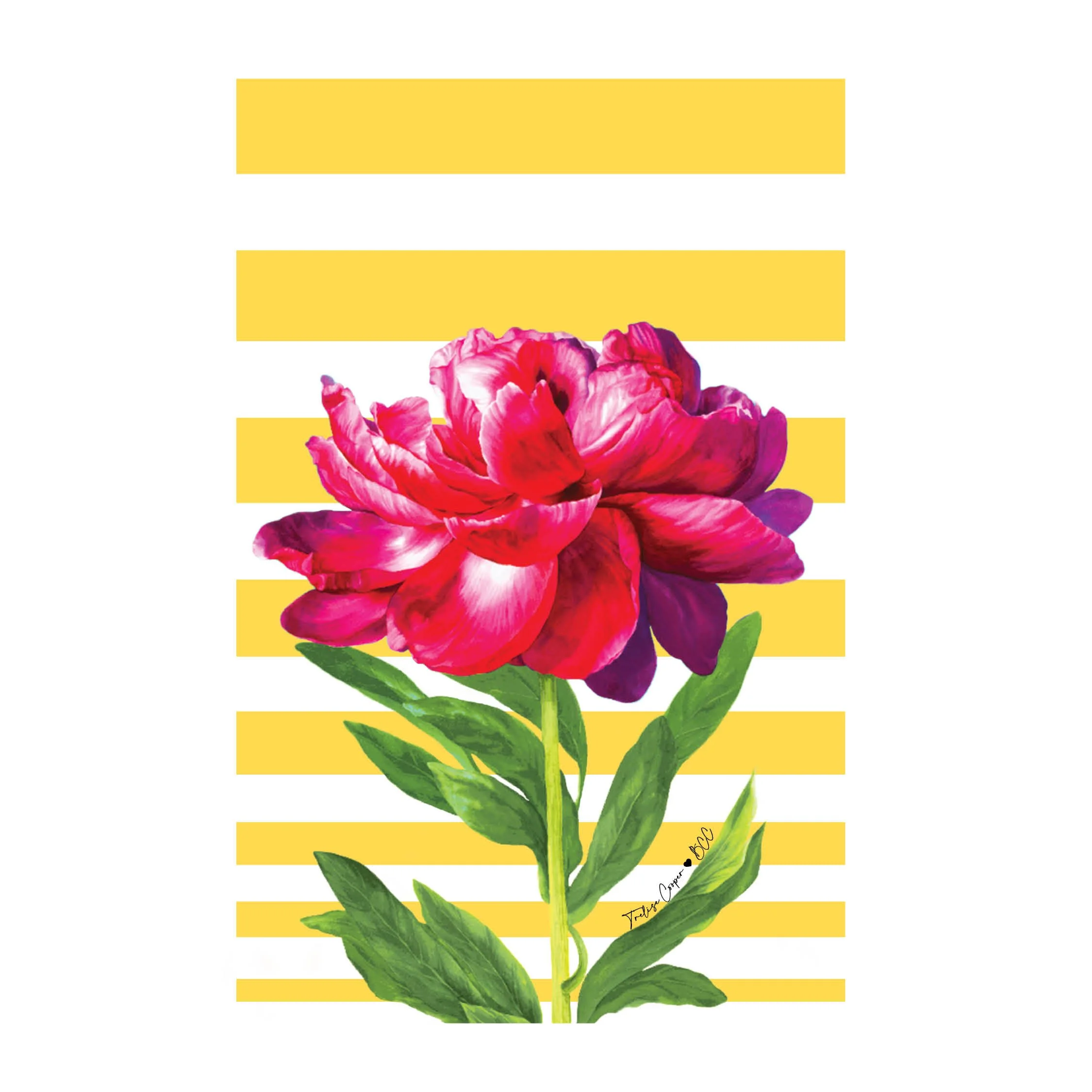 BCC Tees 2025_40.jpg