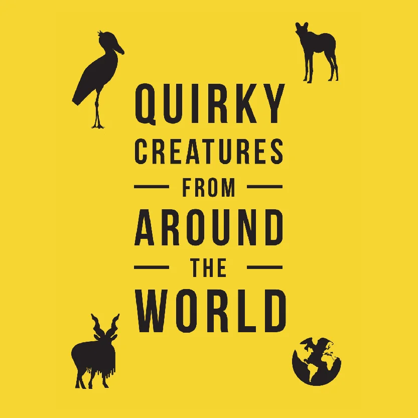 cover-01.jpg