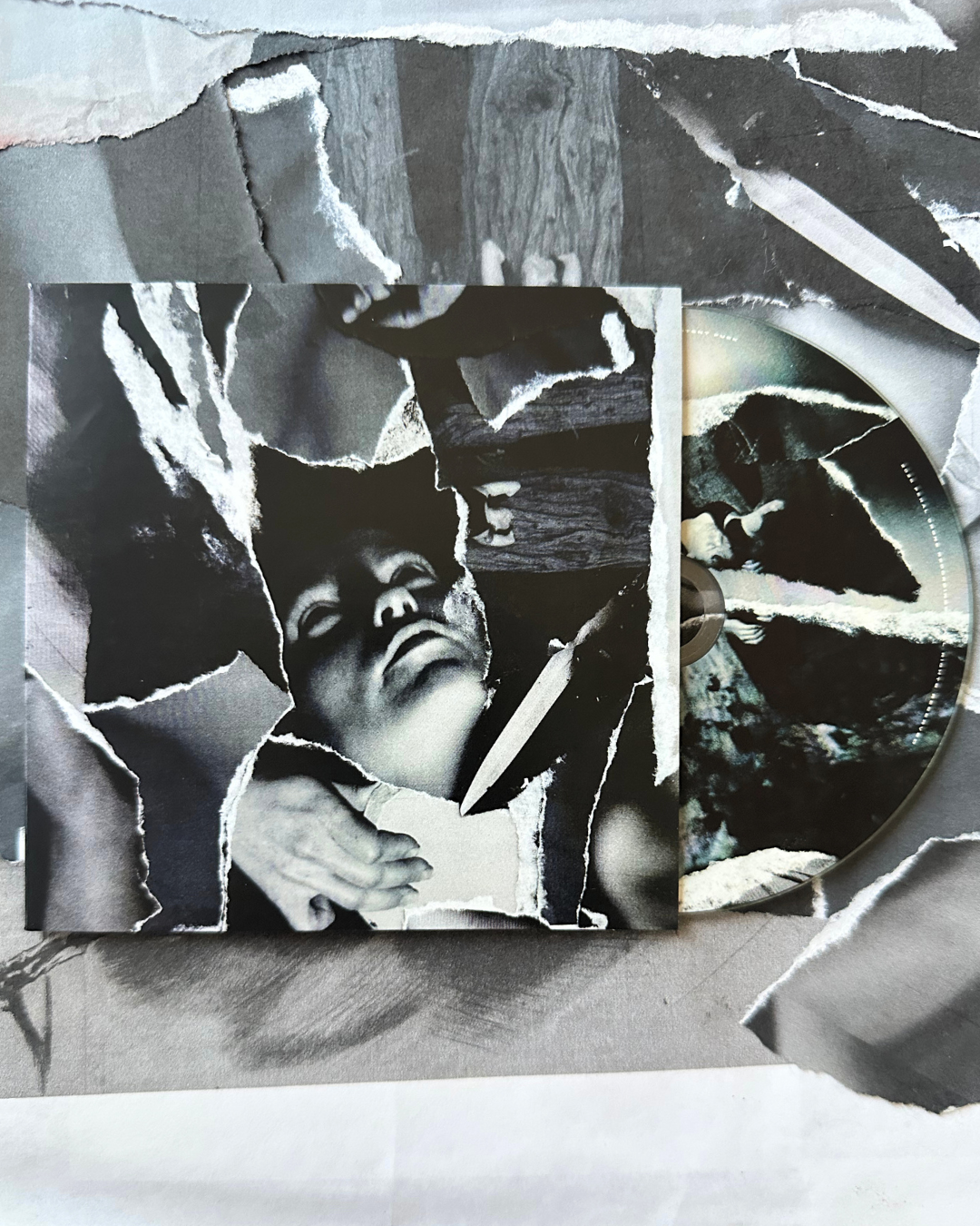 Untitled design (5).png