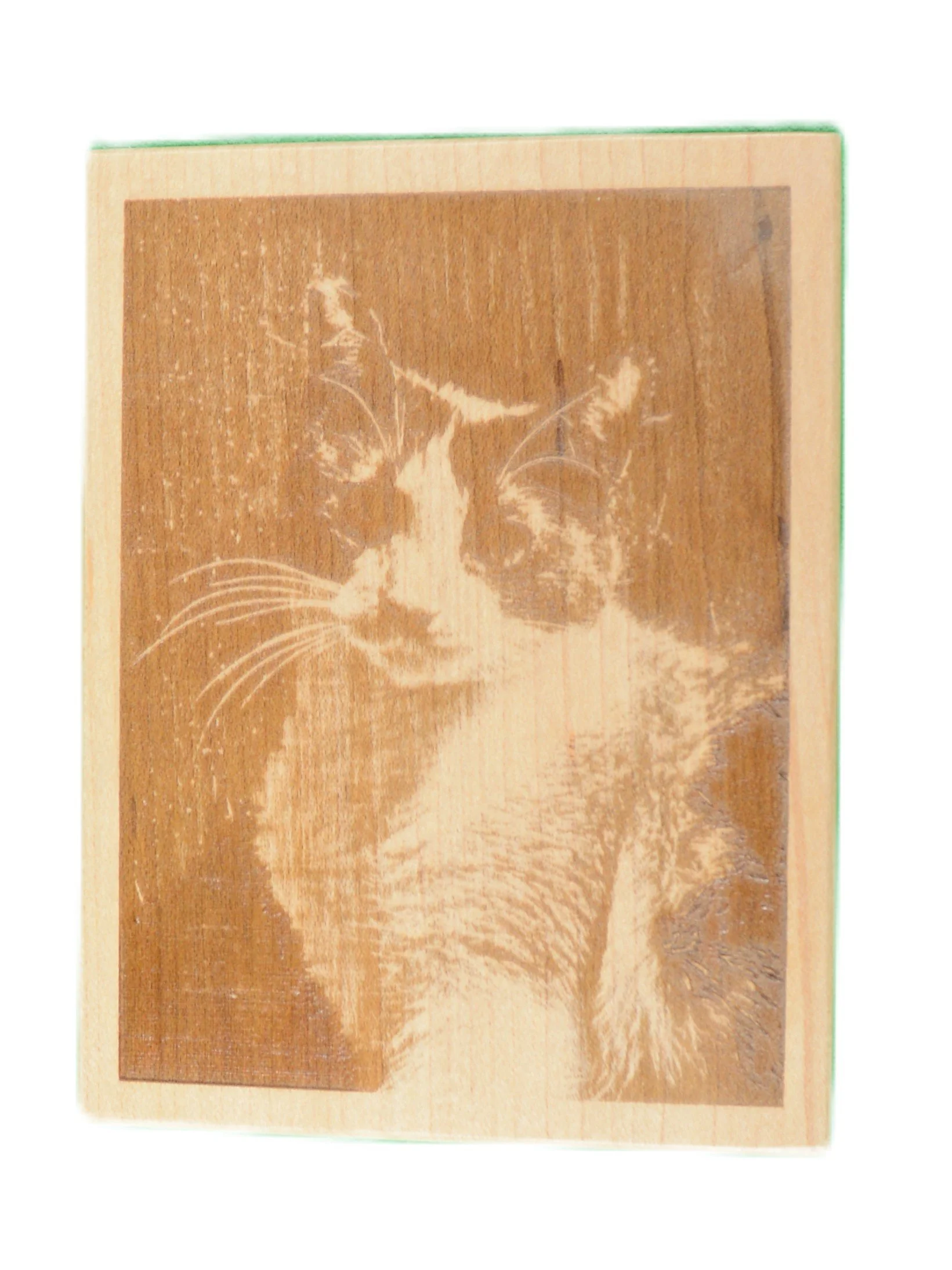 Wood Lasered Picture