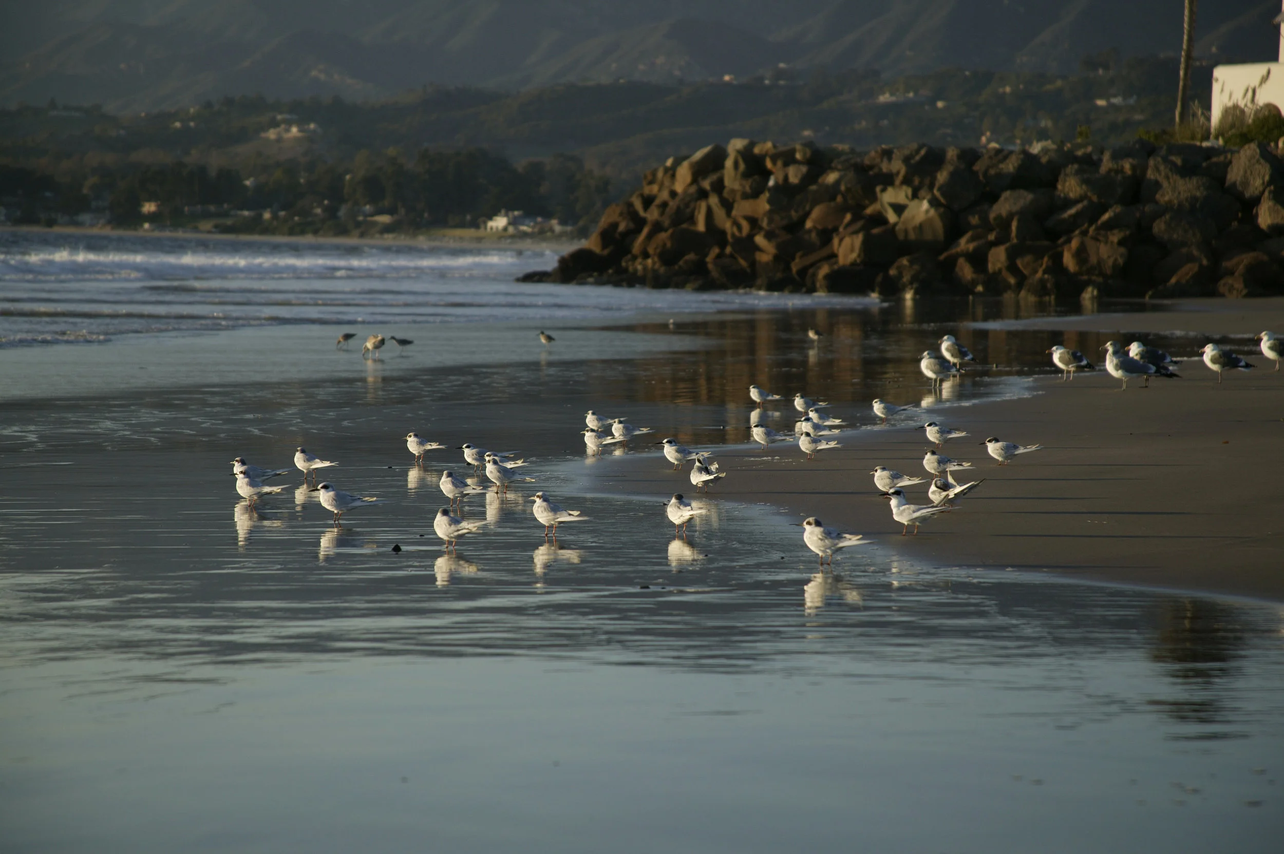 815_Sand_Point_149.jpg