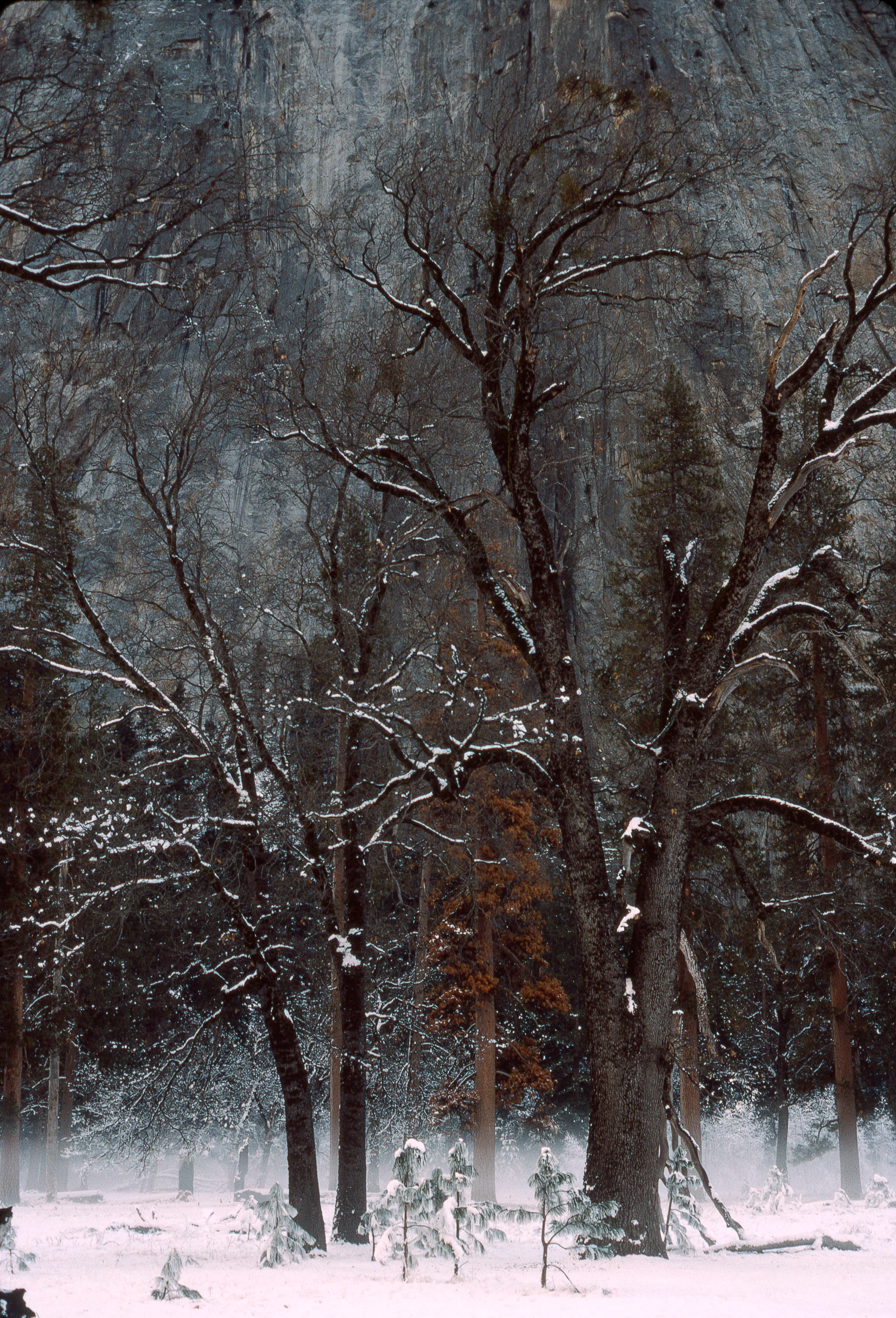 Untitled-7.jpg