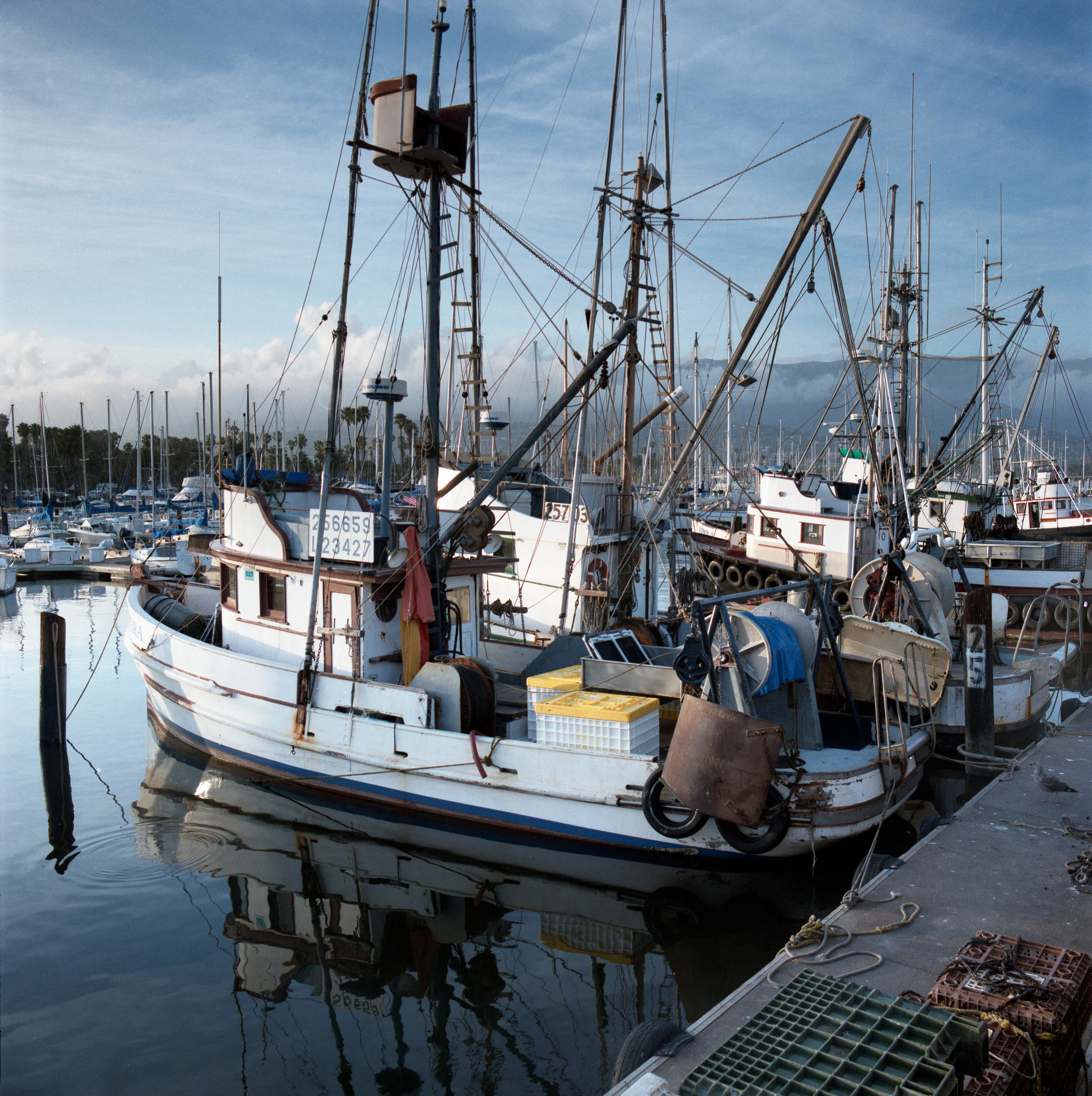 SB Harbor.jpg