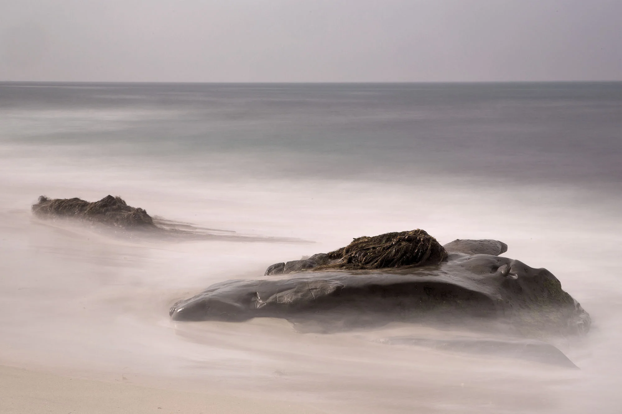 La Jolla_789A9875.jpg