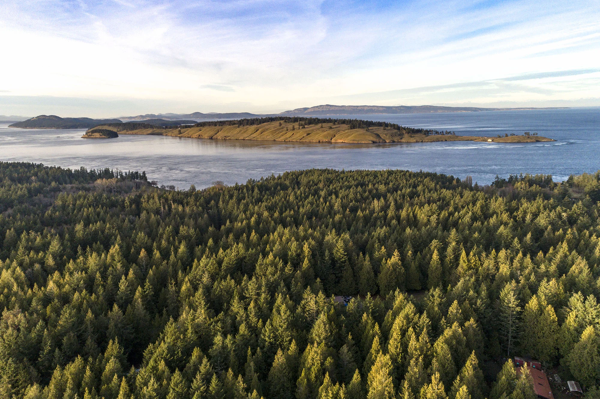 Spieden Island_DJI_0065w.jpg