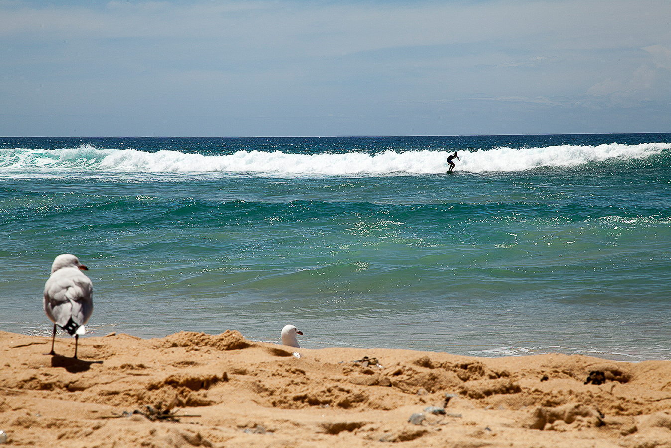 June 20 Manly Beach (1 of 1)-1.jpg