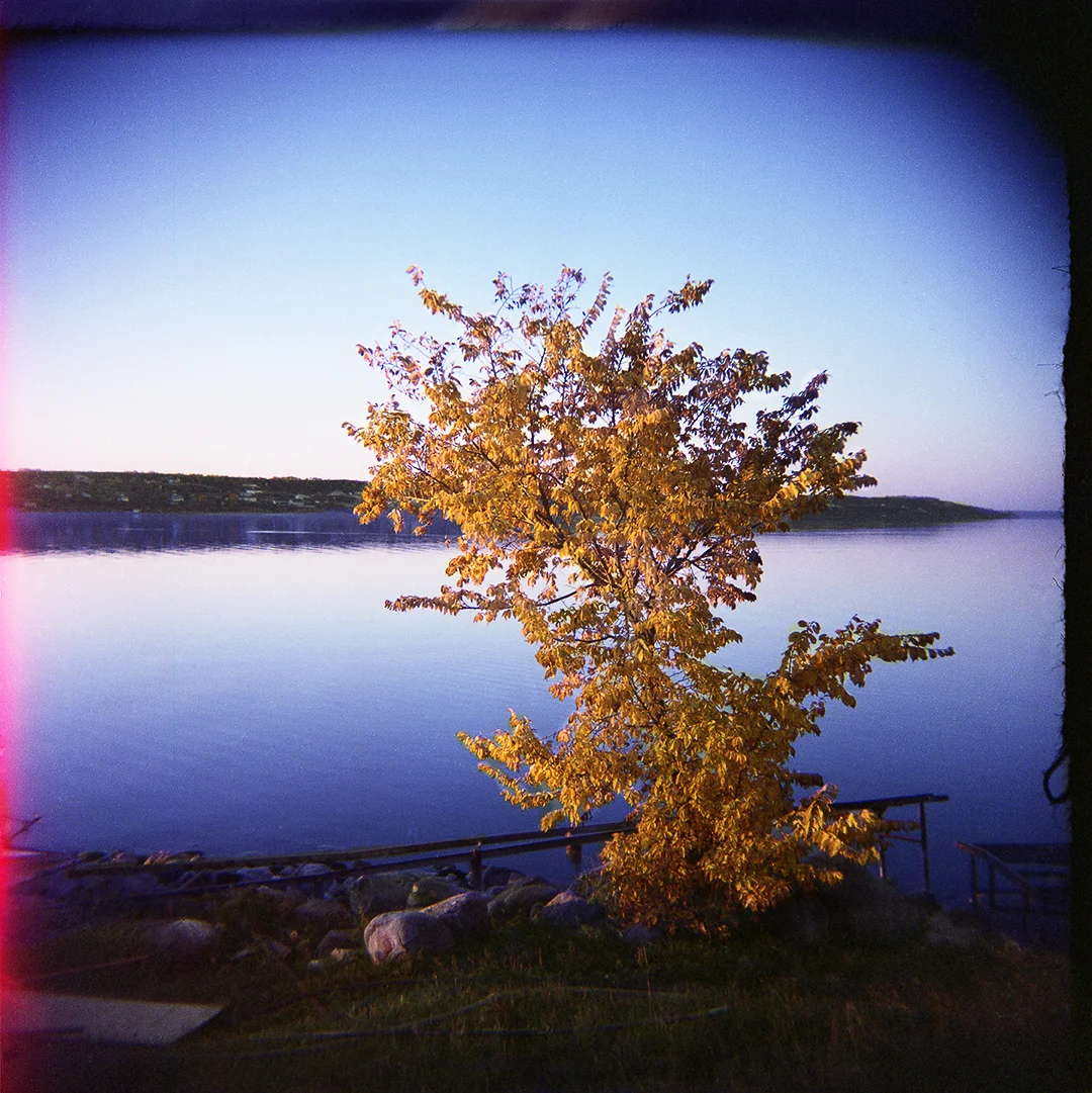 Holga Lives On