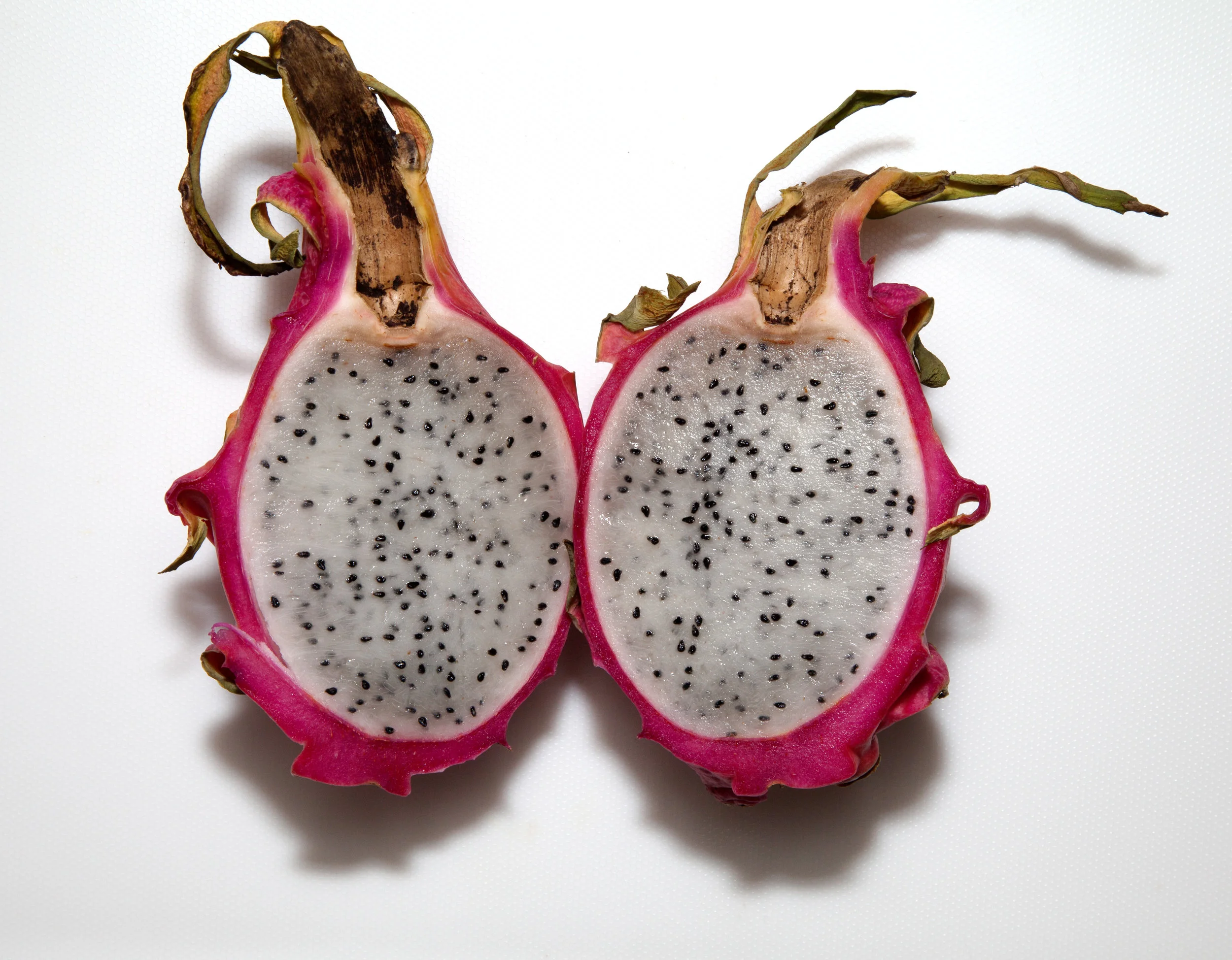 dragonfruit (1 of 1).jpg