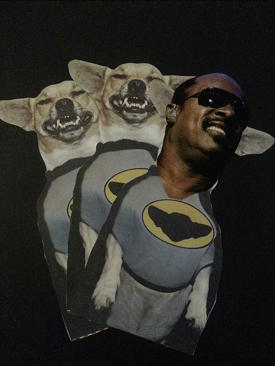 Wonder Dog