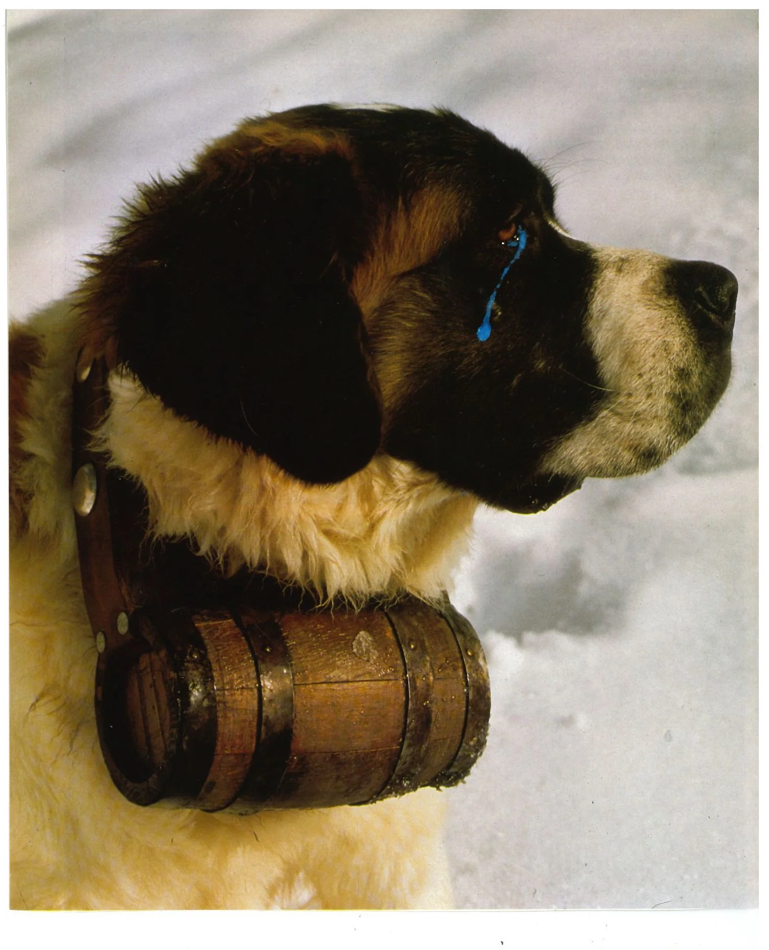 When You Have Cognac Around Your Neck But You're a Dog
