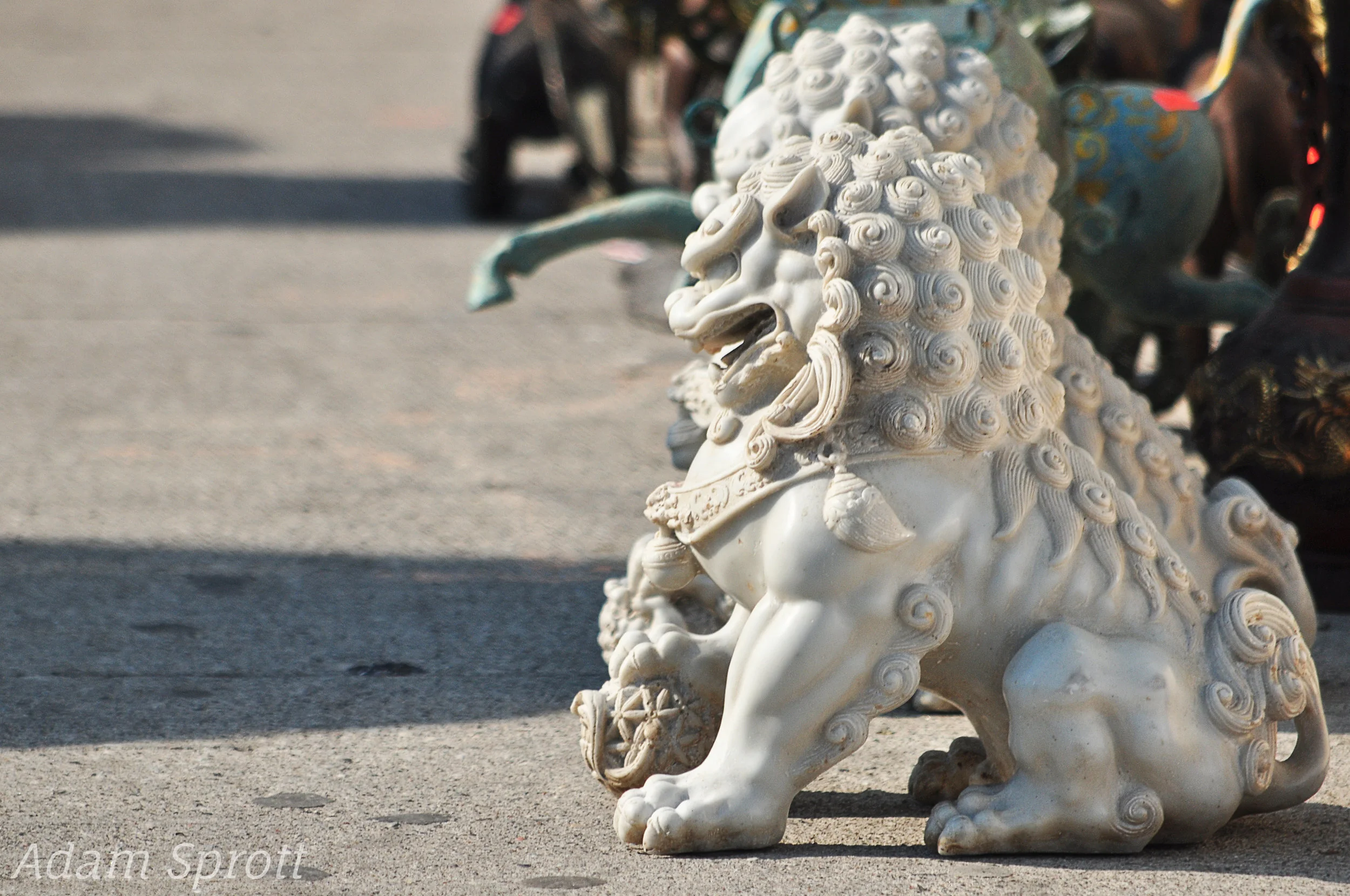 7 Lion 2.jpg