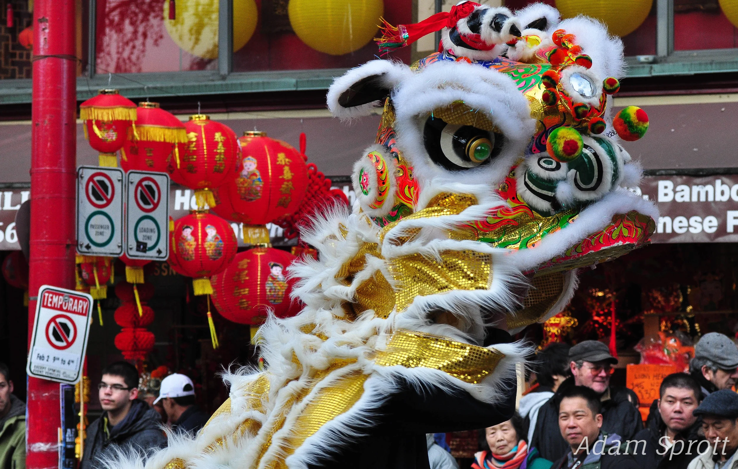 Lion Dancer.jpg