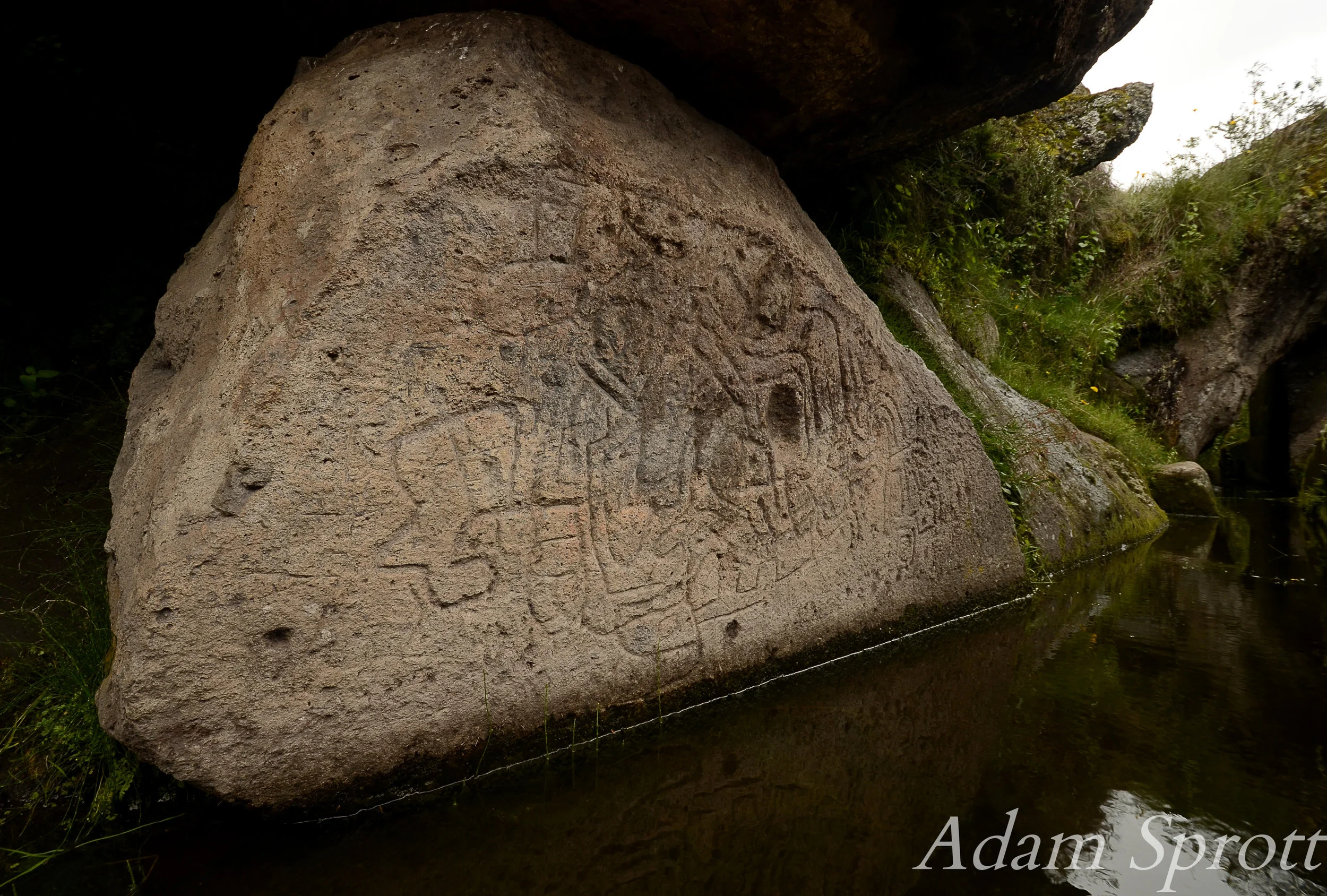 DSC_7899a.jpg
