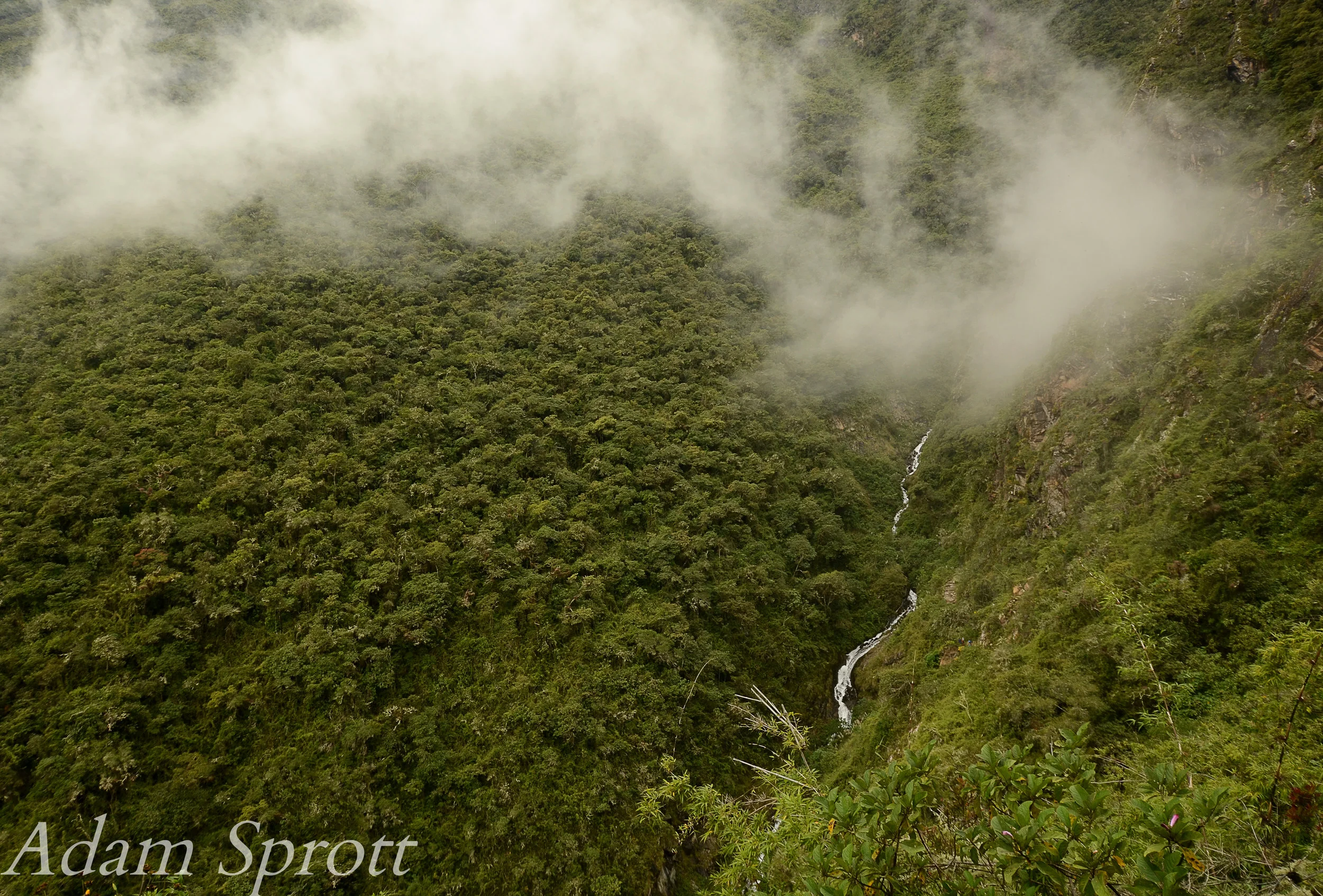 DSC_9282a.jpg