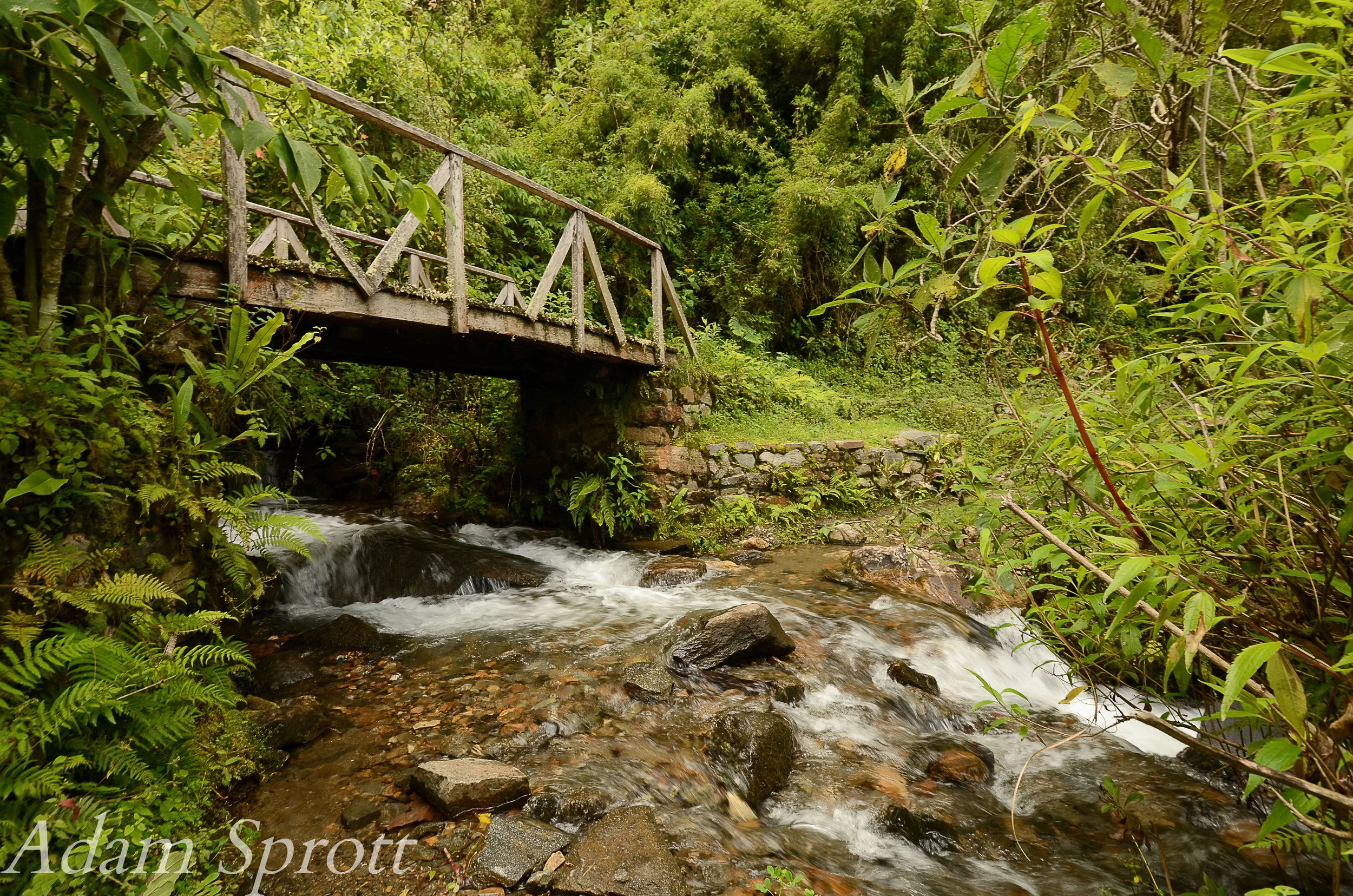 DSC_9283a.jpg