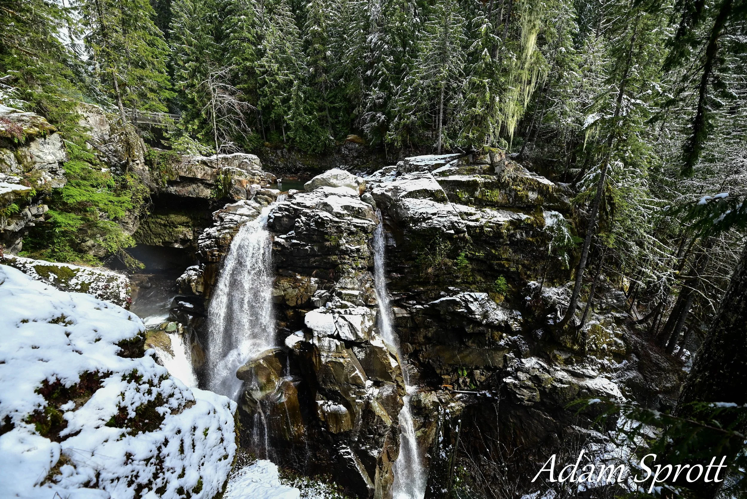 DSC_0380.jpg
