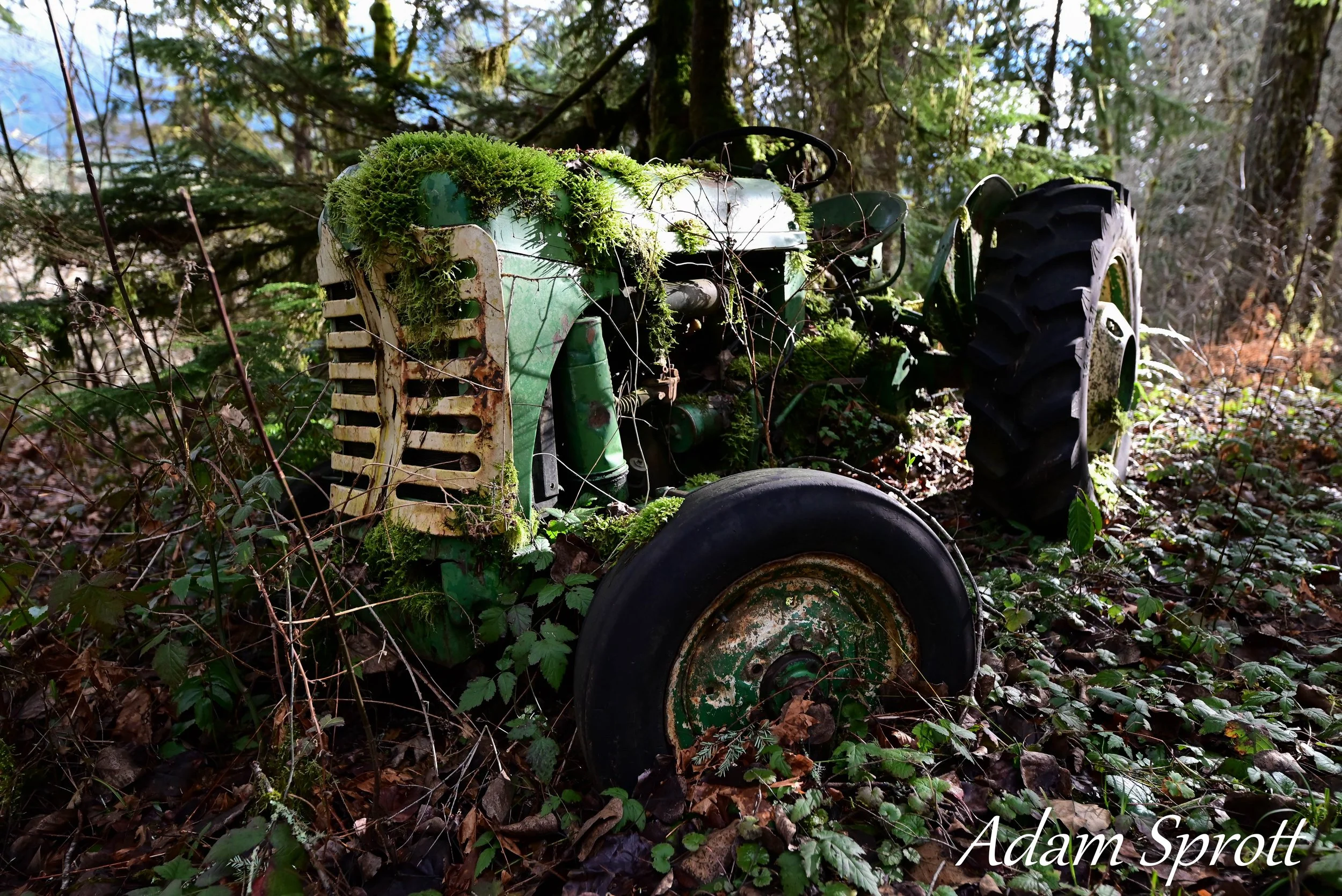 DSC_0460.jpg